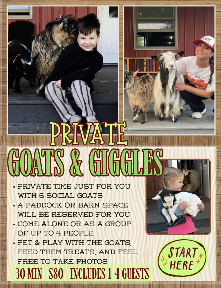 Flyer advertising a private goats and giggles activity with three photos of children interacting with goats on a porch or barn area. The flyer includes details about the activity, such as duration, price, and what is included.