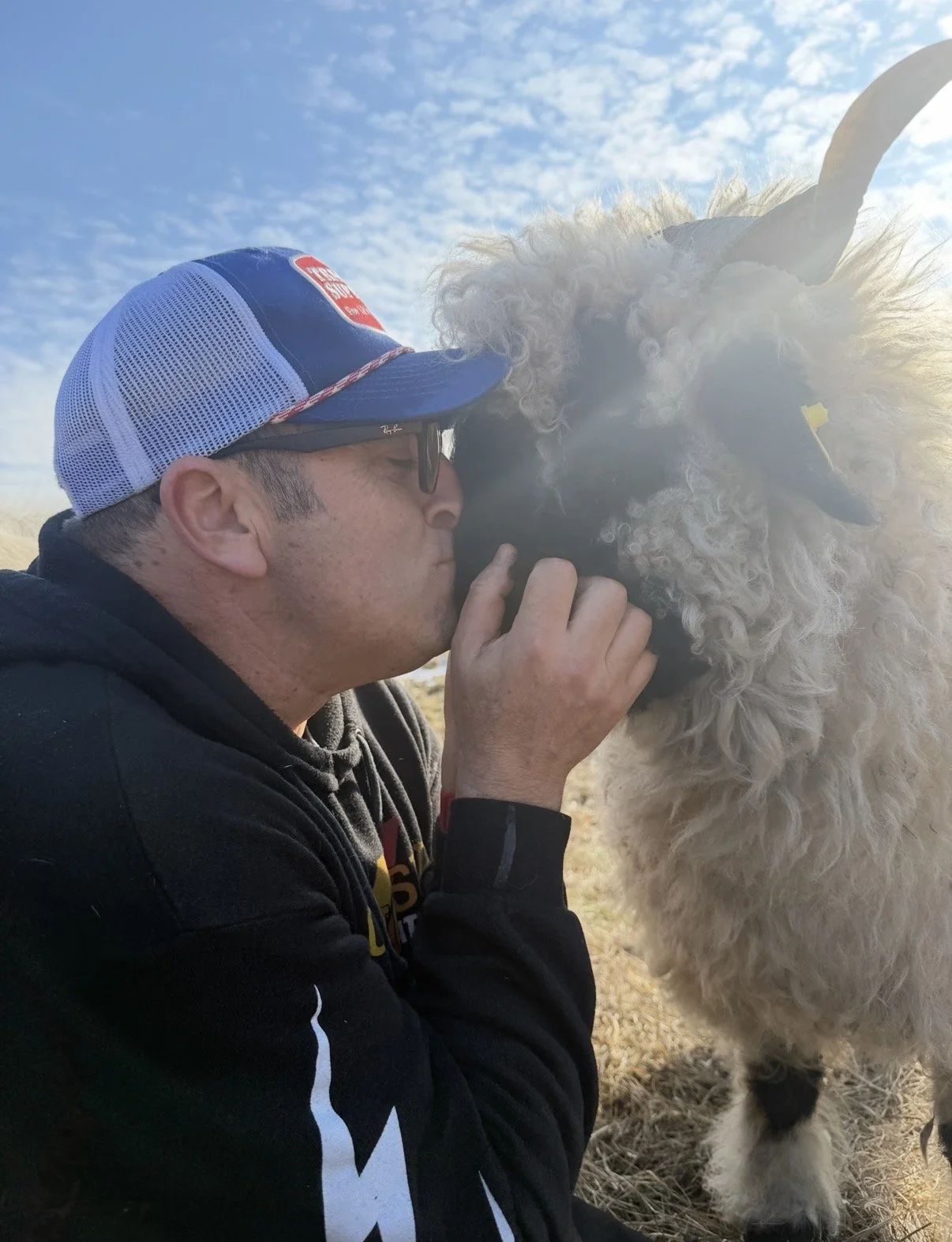 A man wearing a baseball cap and sunglasses kisses a fluffy white alpaca on the nose. The background shows a blue sky with light clouds.