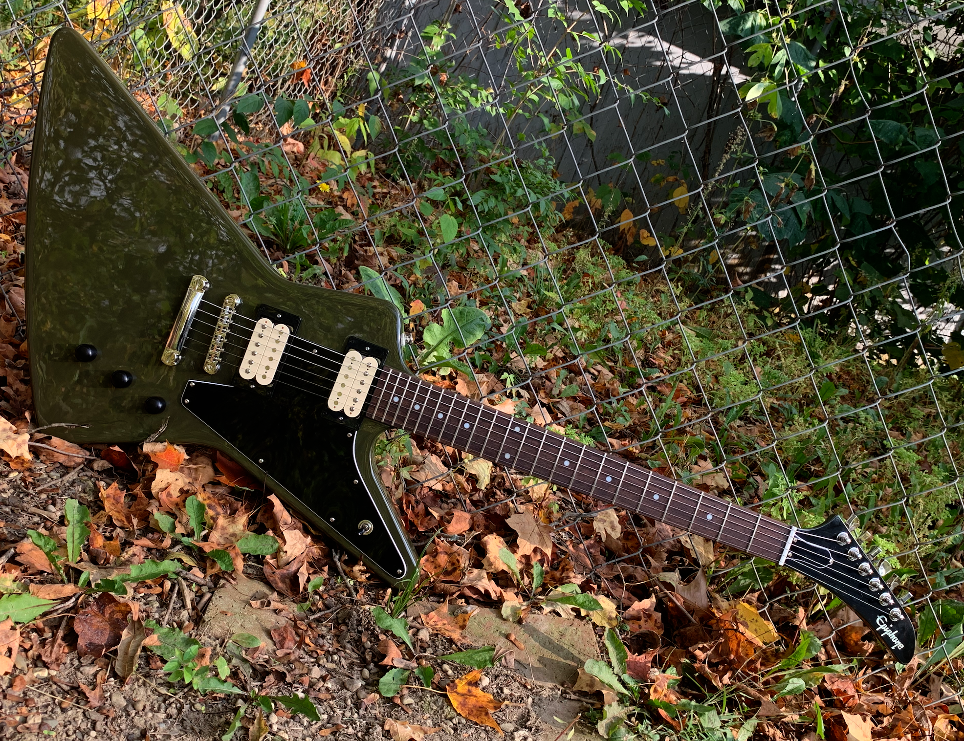 Explorer with custom made humbucking pickups.