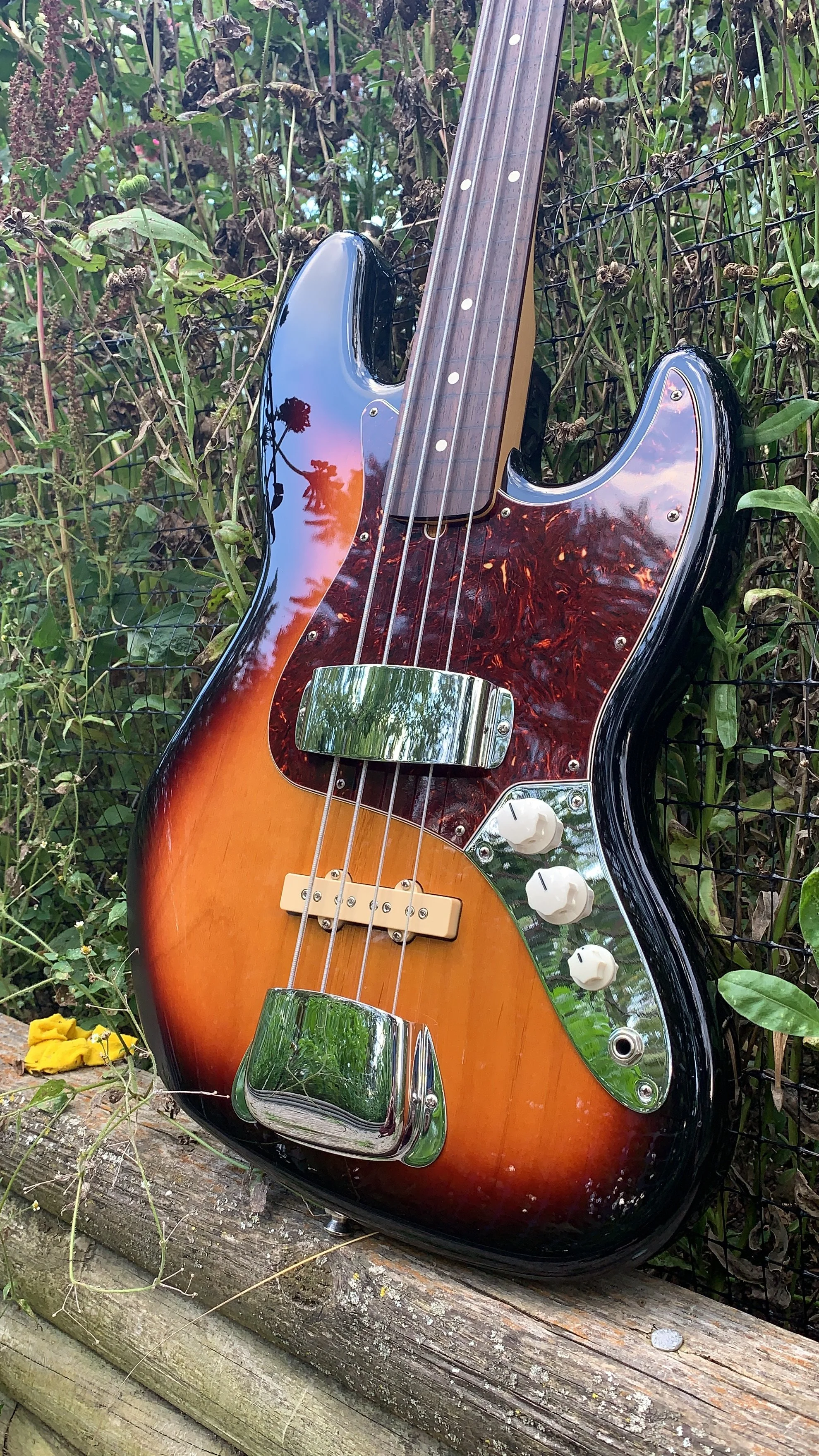 Fretless Jazz bass with modified wiring.