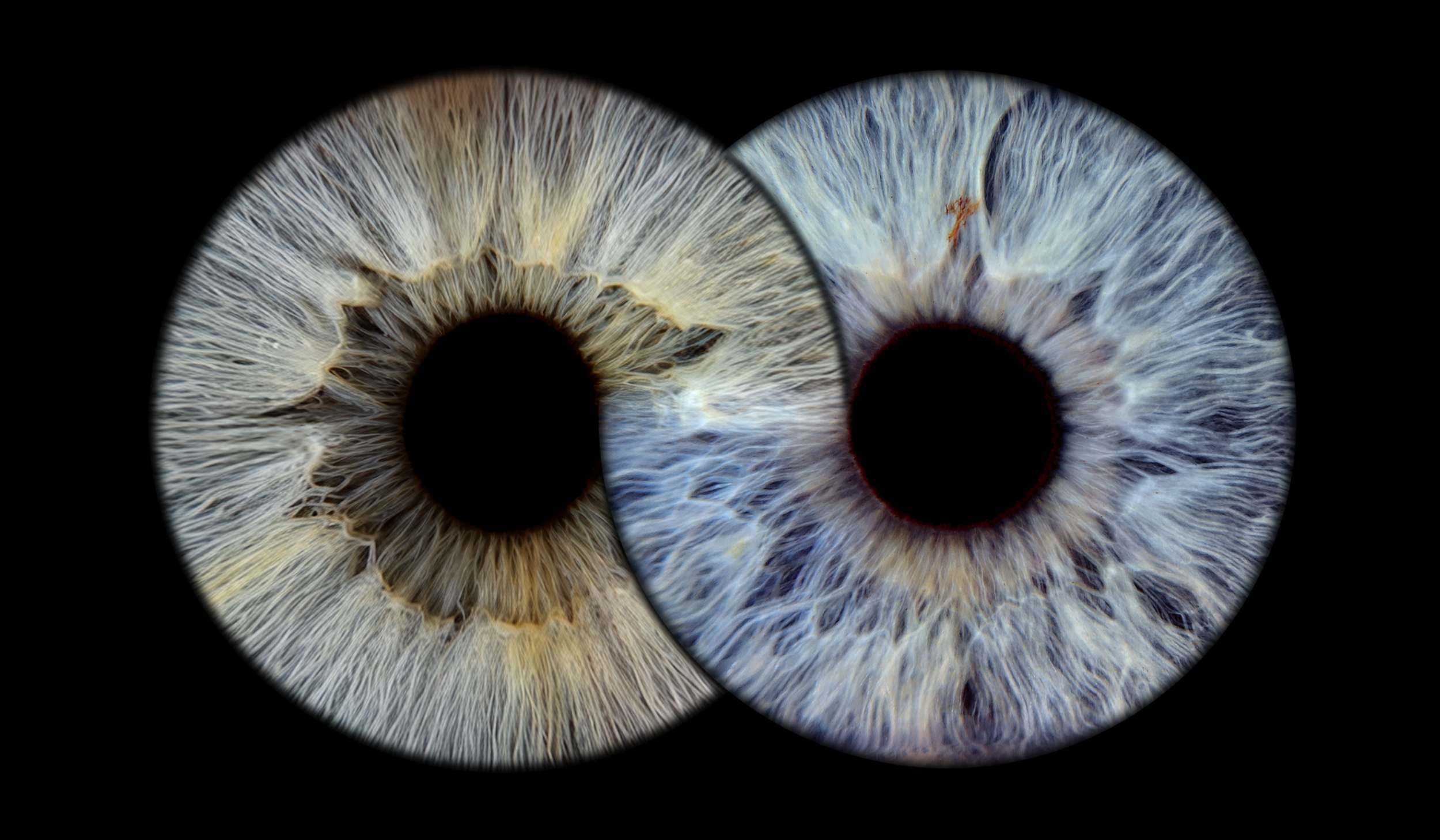 Infinity 12x7.png