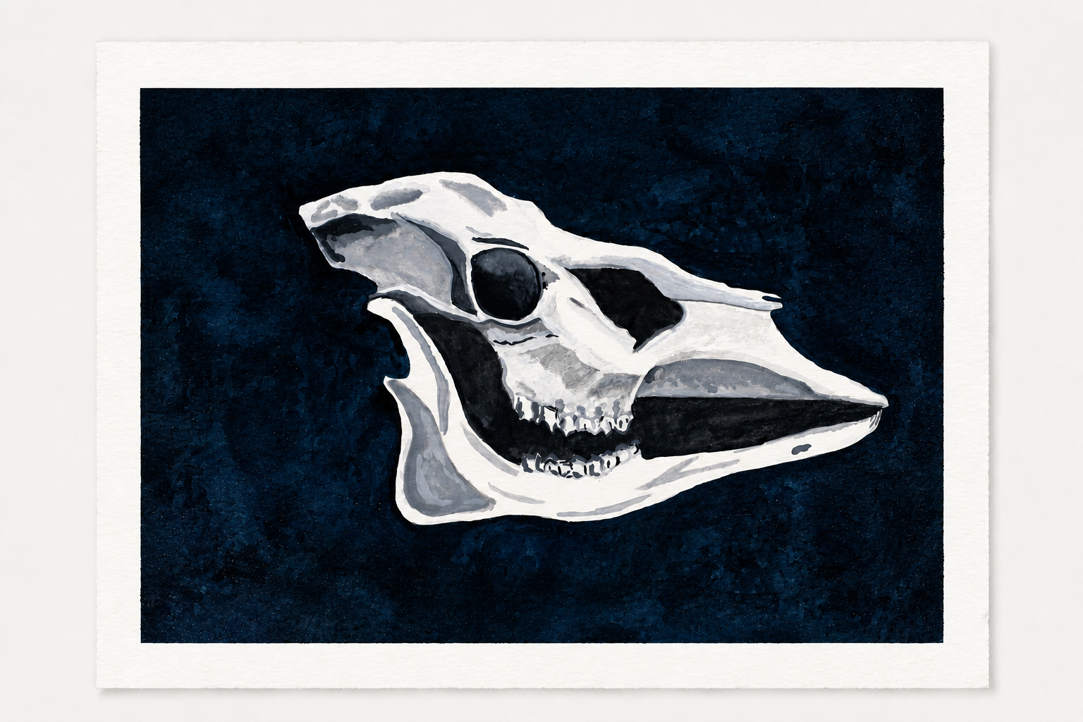 Skull I
ink on paper
2020