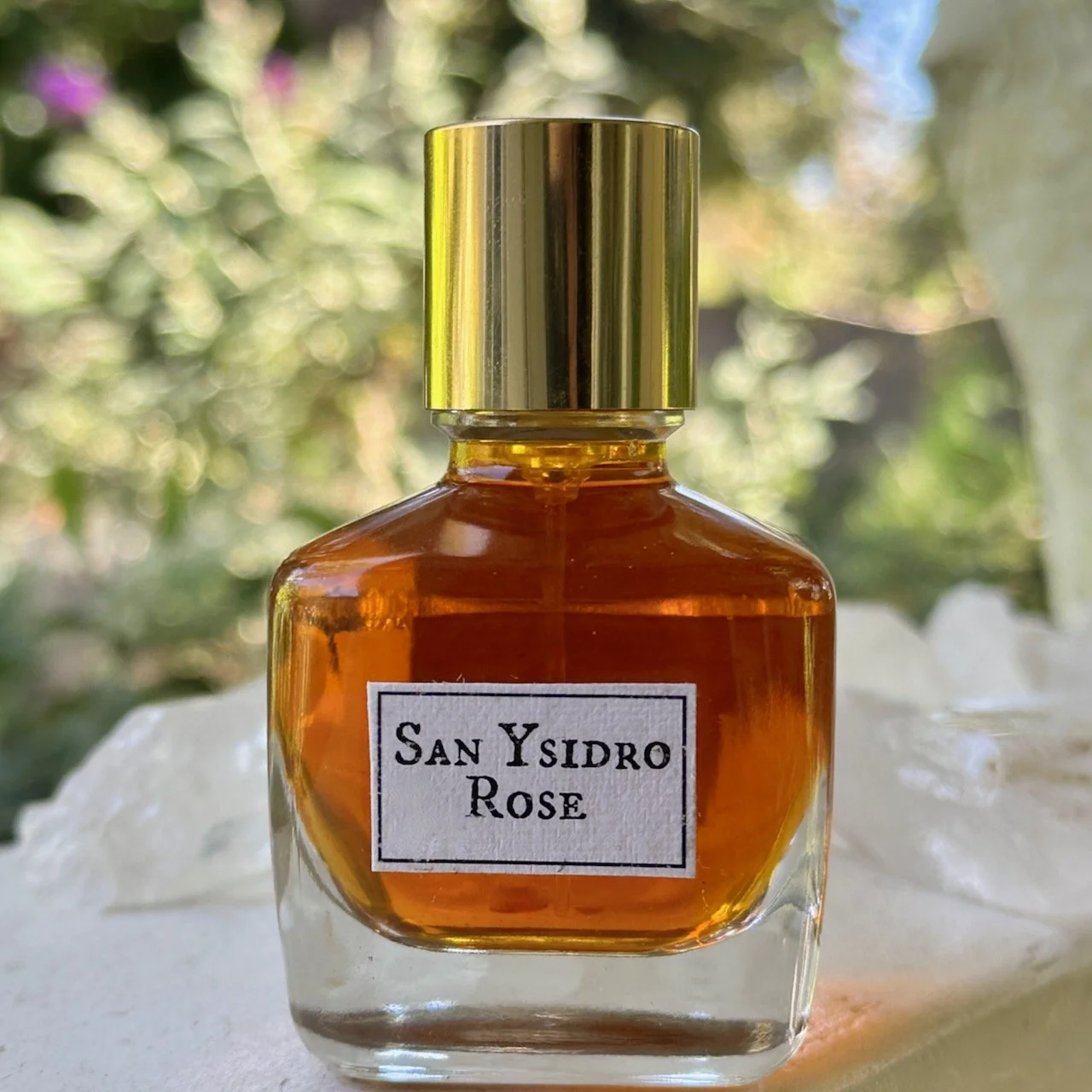 San Ysidro Rose
