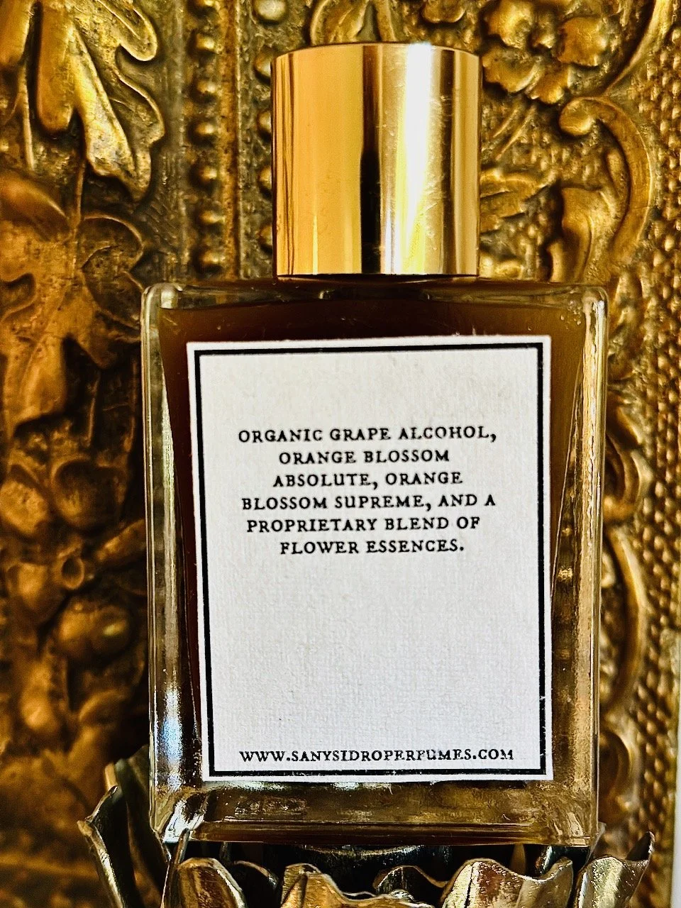 sy orange blossom back.jpeg