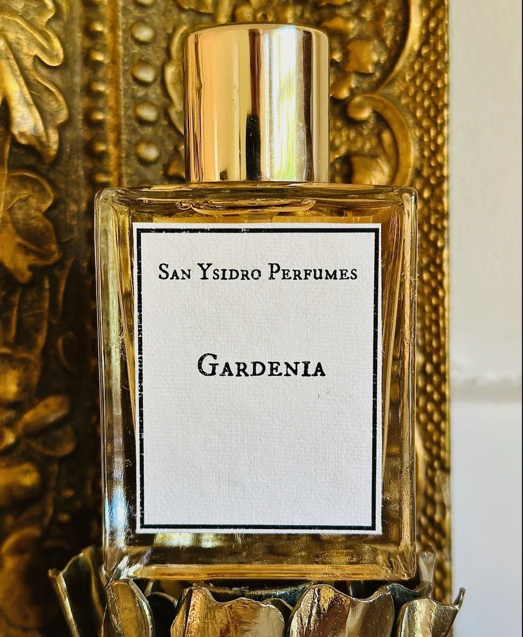 sy gardenia .jpeg