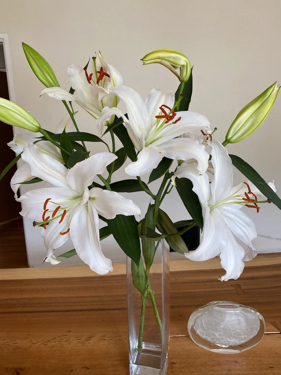 sbb lilies.jpeg