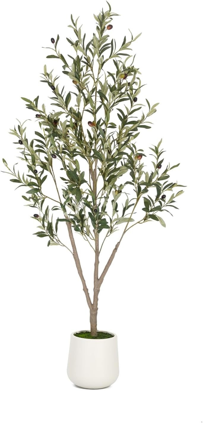 A potted olive tree with green leaves and black olives in a white pot.