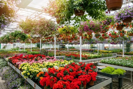 A magical evening at The Phoenix Garden Center