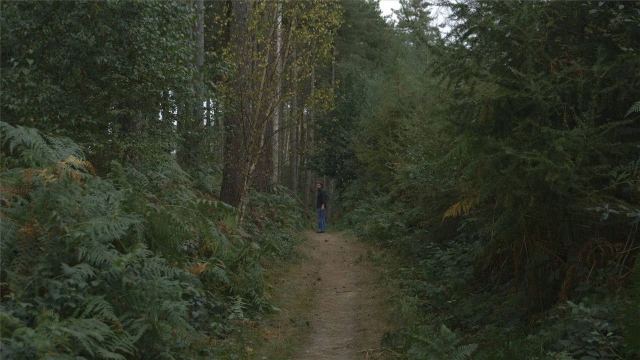 A person walking on a dirt trail surrounded by dense green foliage and trees in a forest.