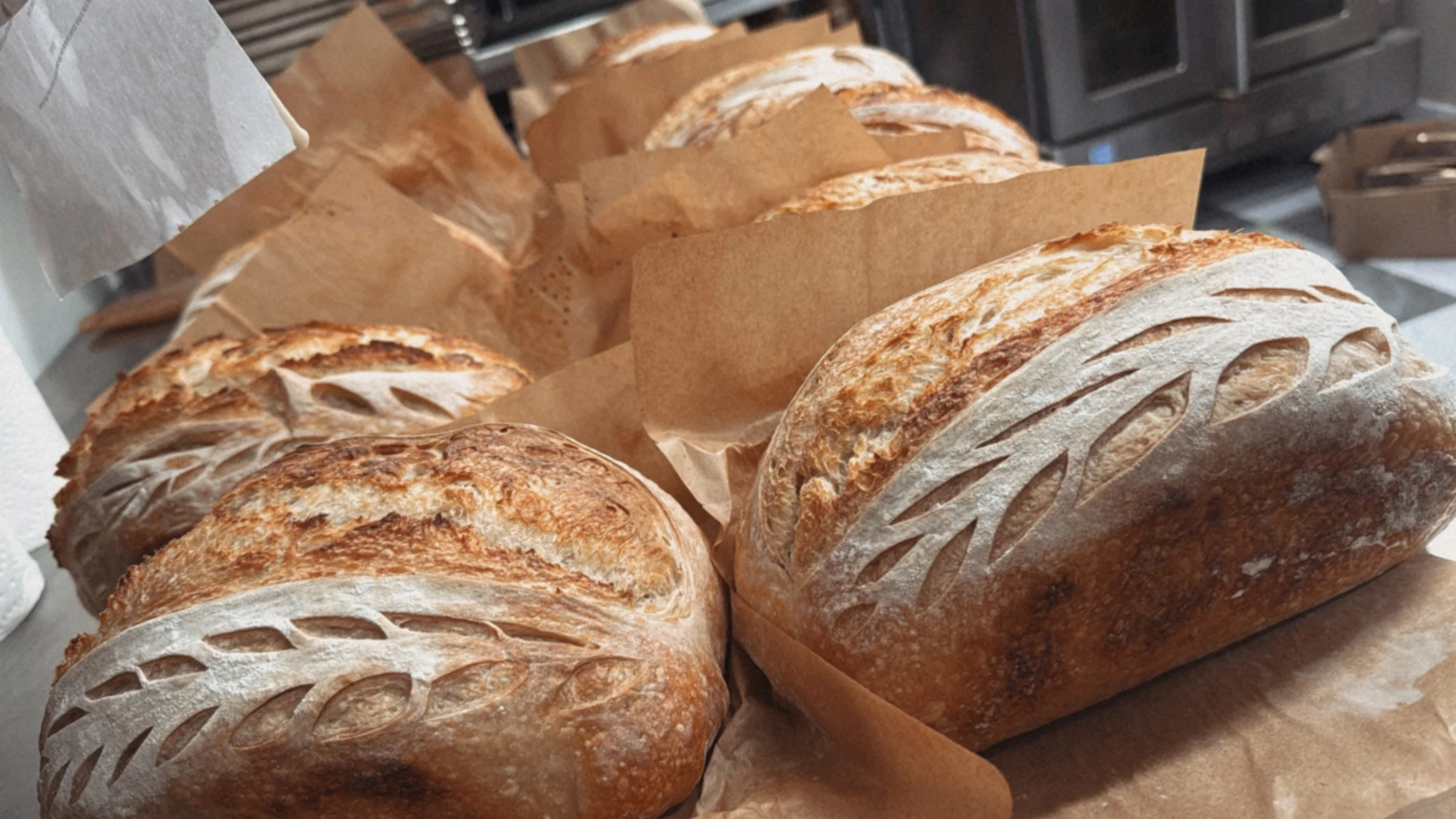 Loaves of rustic homeade sourdough bread with a pattern of slashes on the crust, resting on parchment paper.