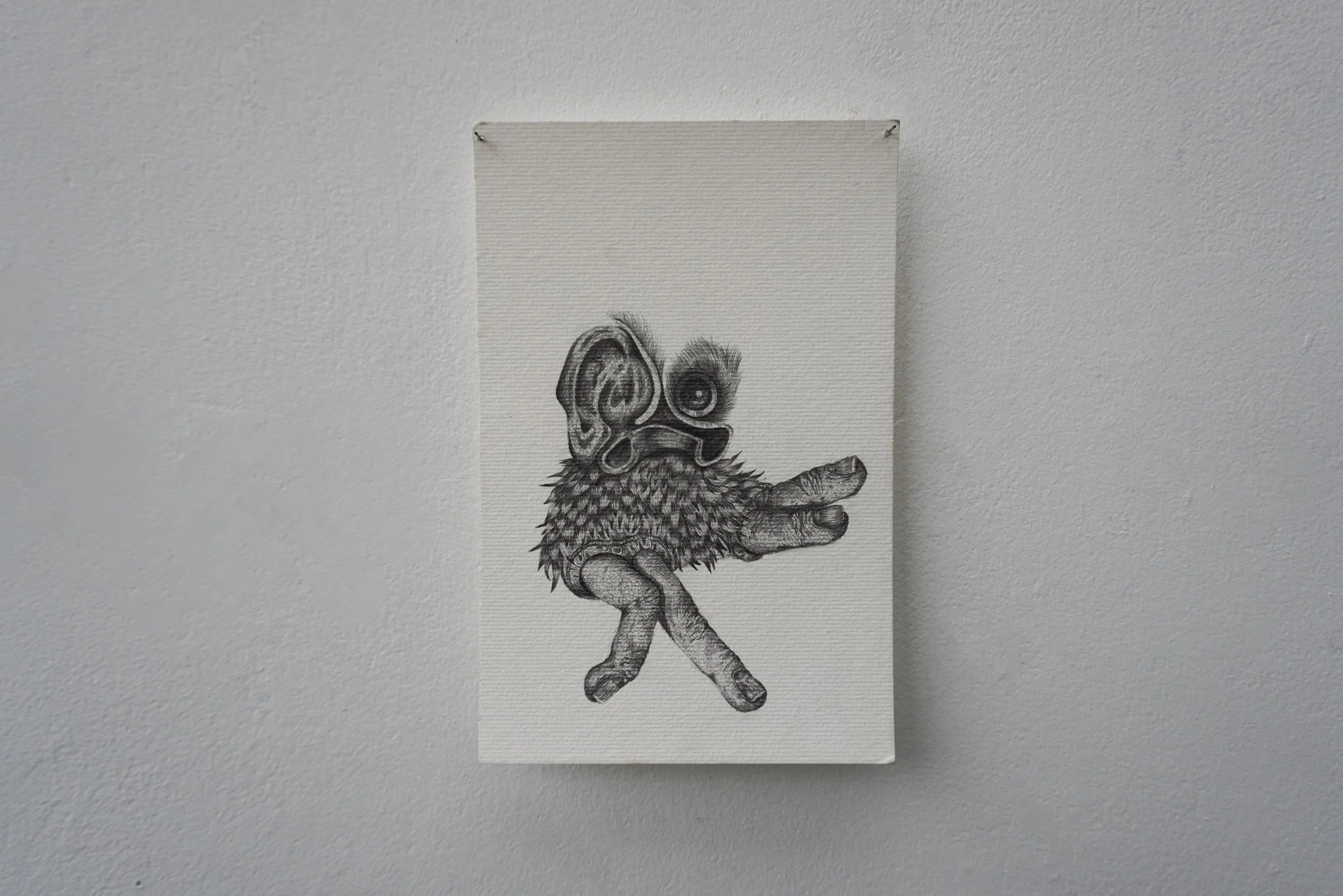 Pajaro 3 .jpg