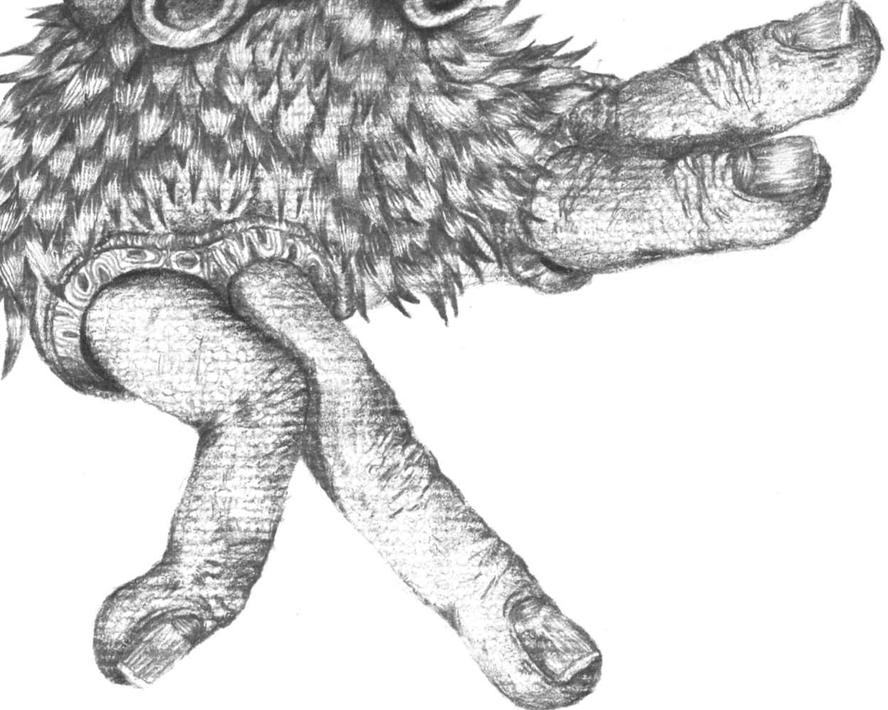 img5.png