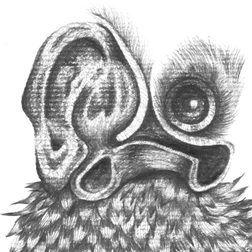 img5.png