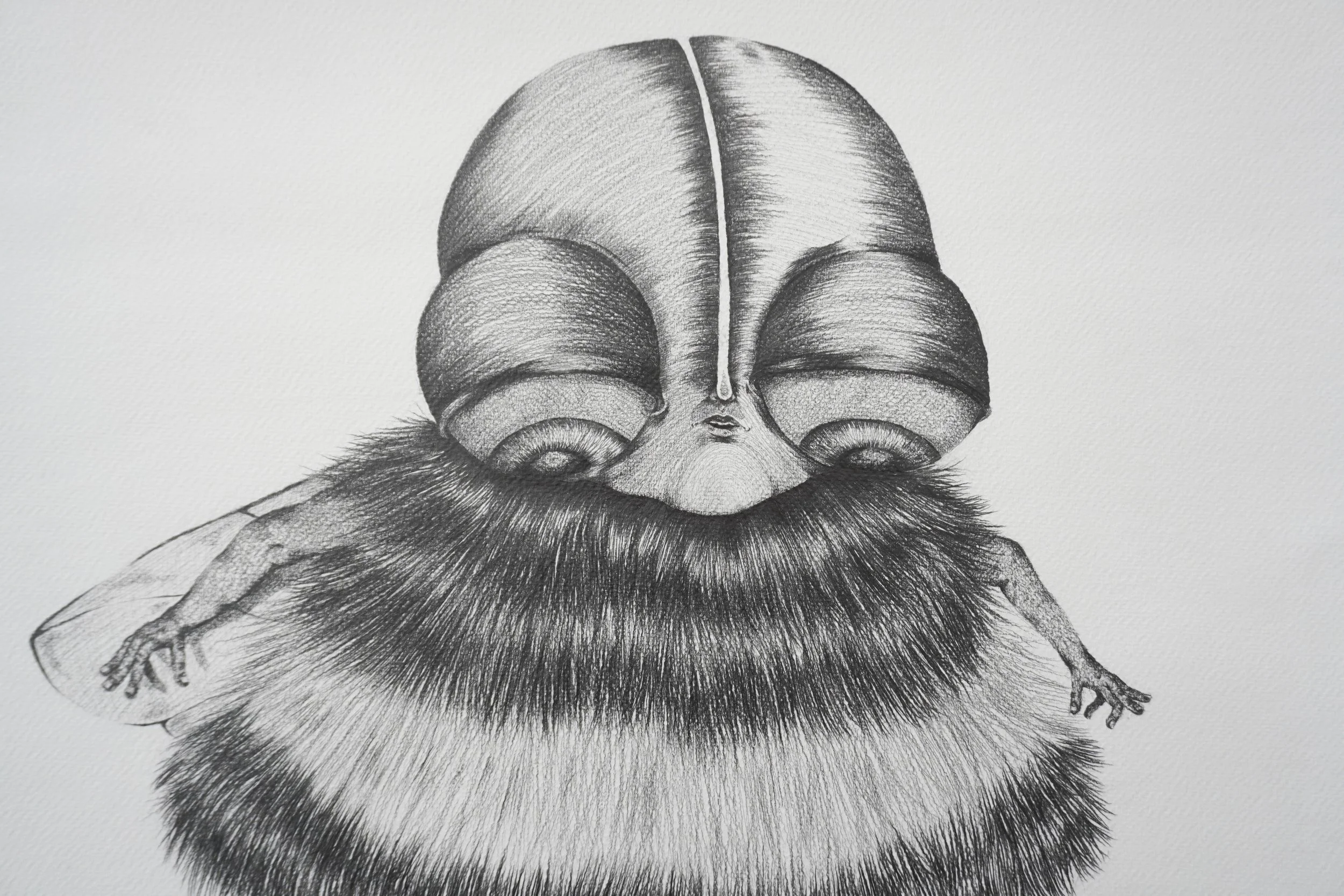 V-abeille