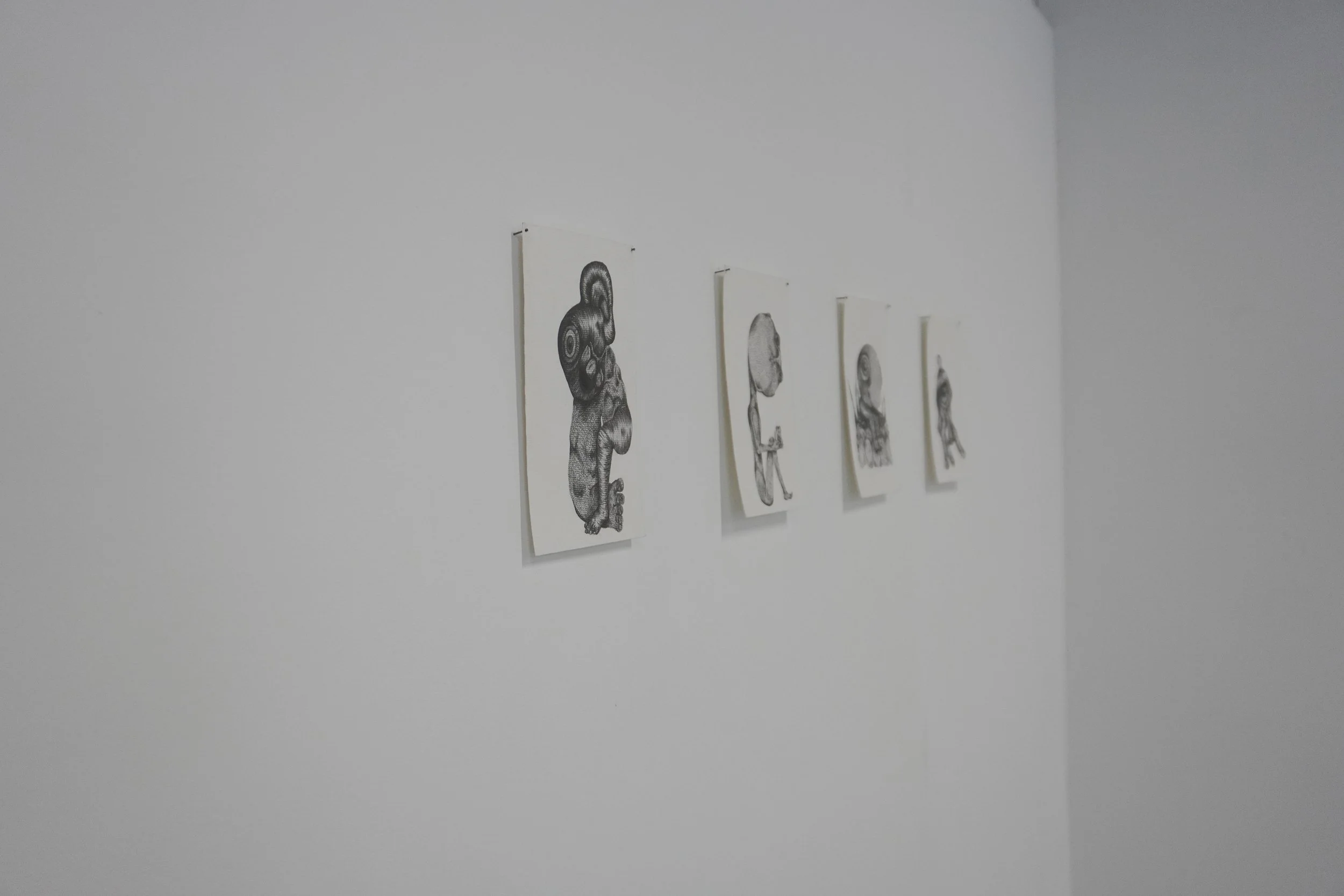 DSC08209.jpg