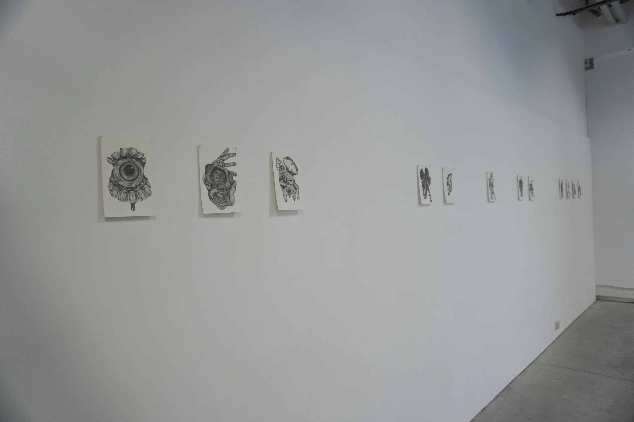 DSC08218.jpg