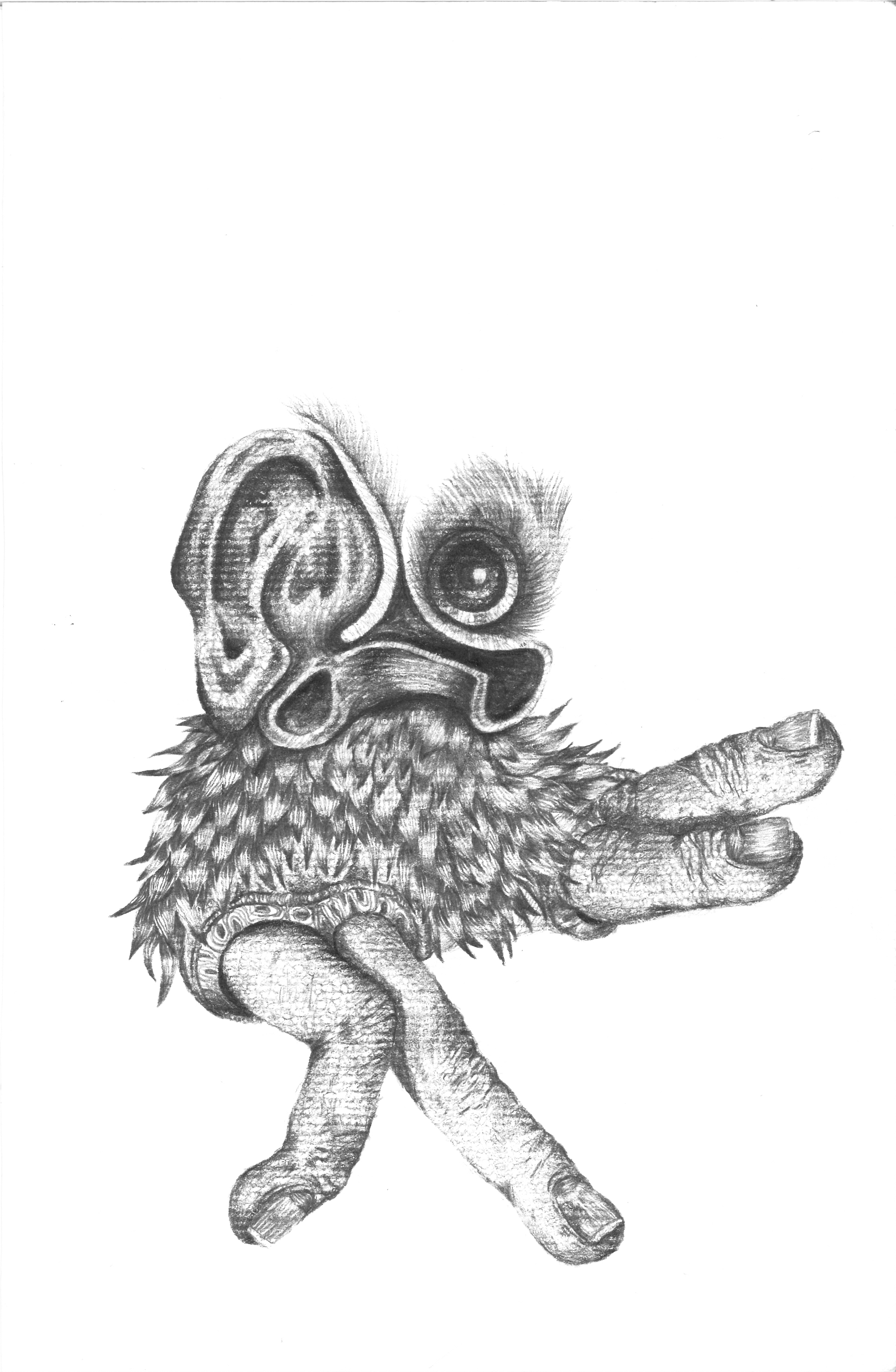 Oredillo