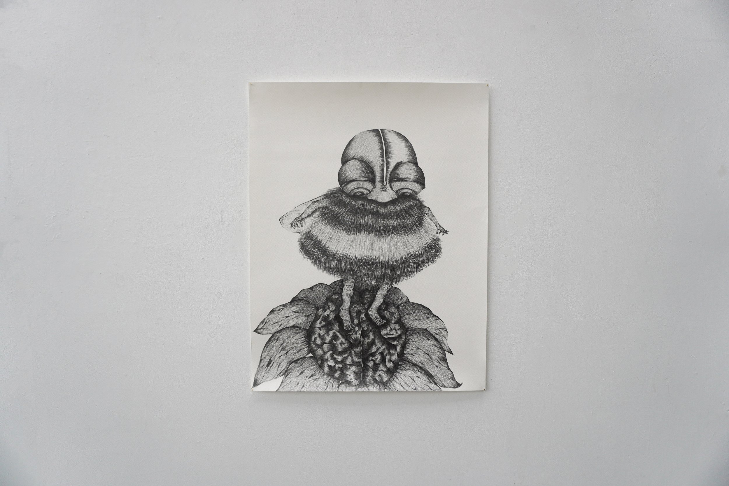 V-abeille 2 .jpg