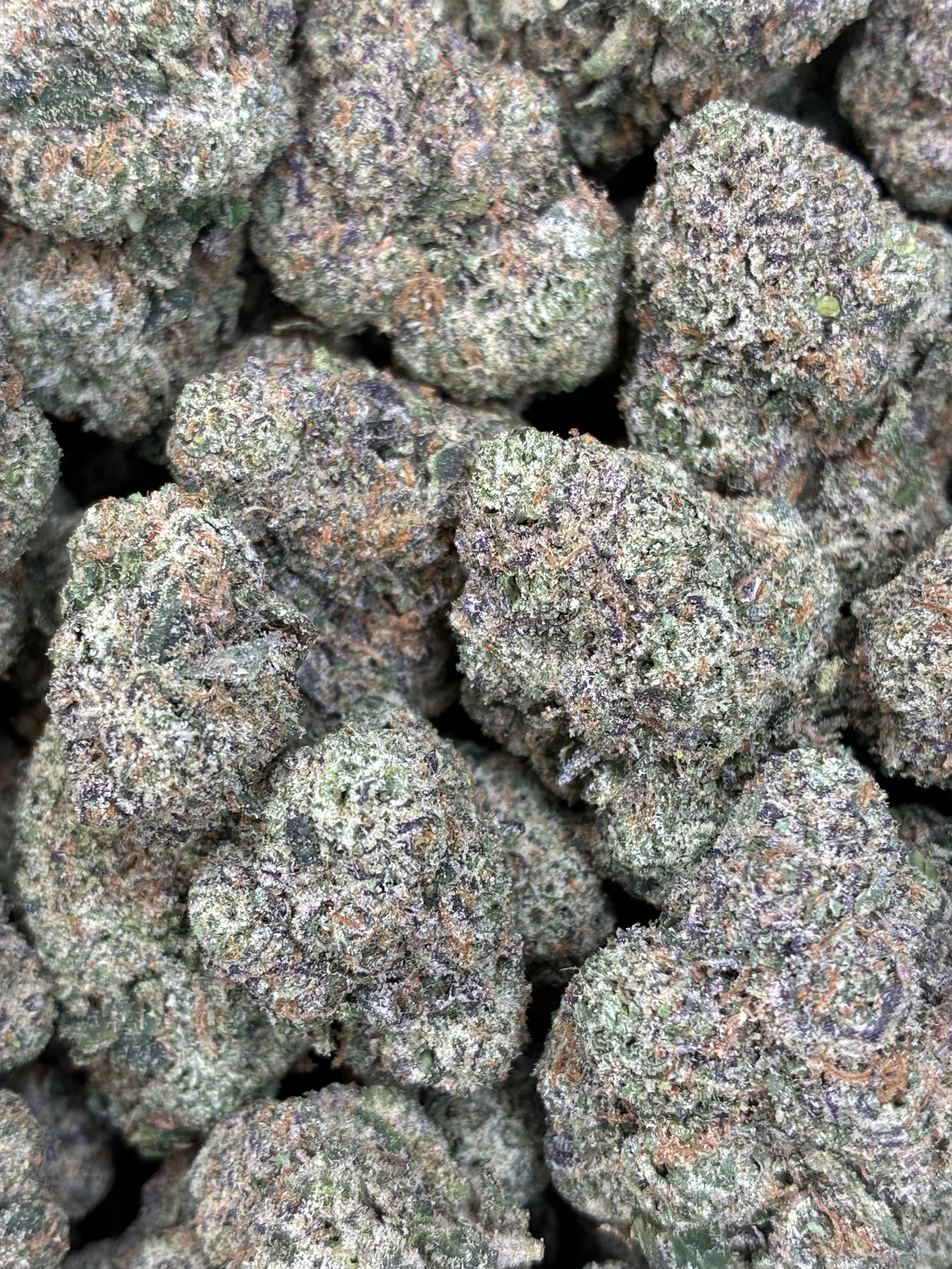 SAINT GELATO