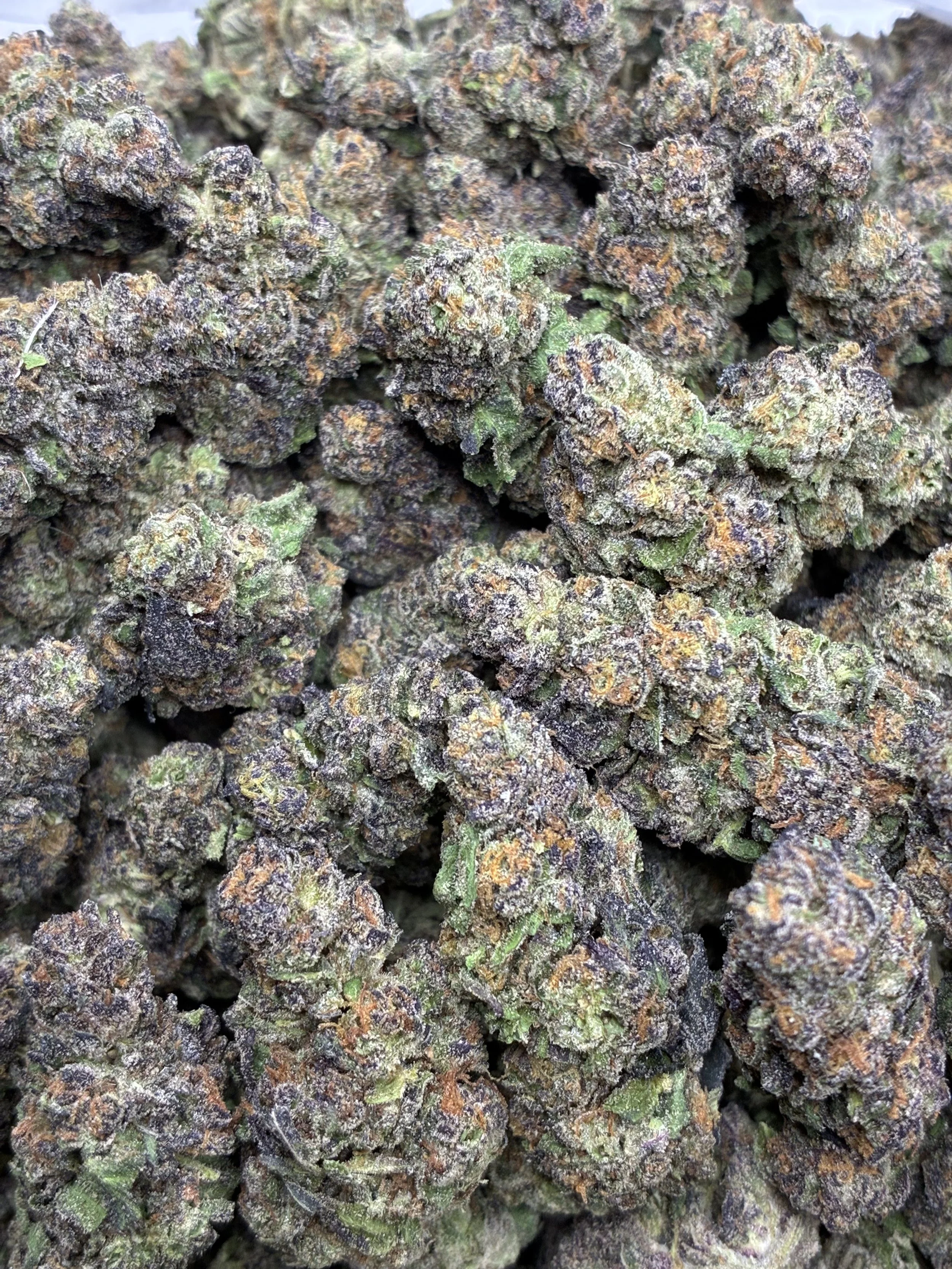 PINK GUSHERZ