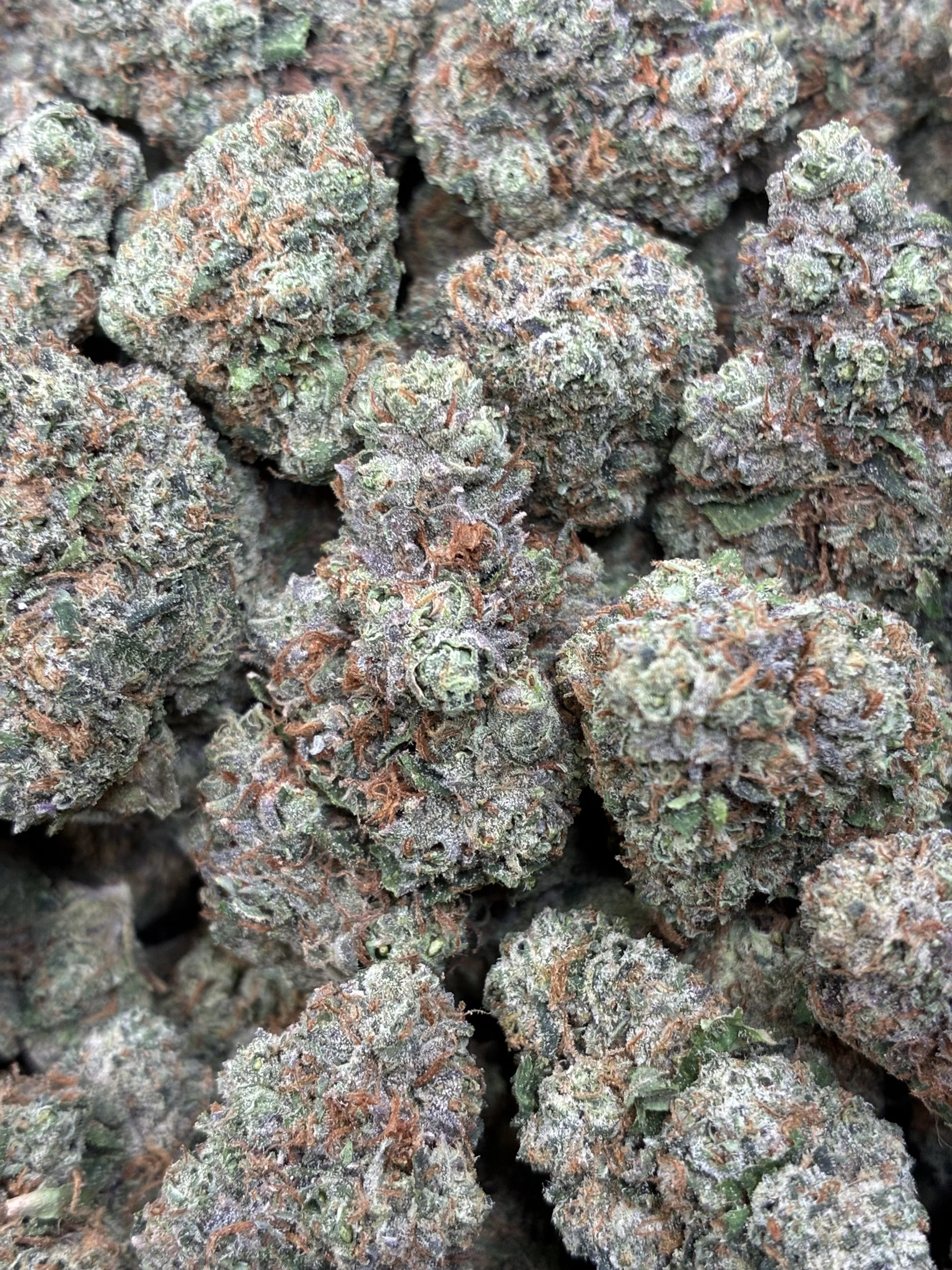 DNA CANDY