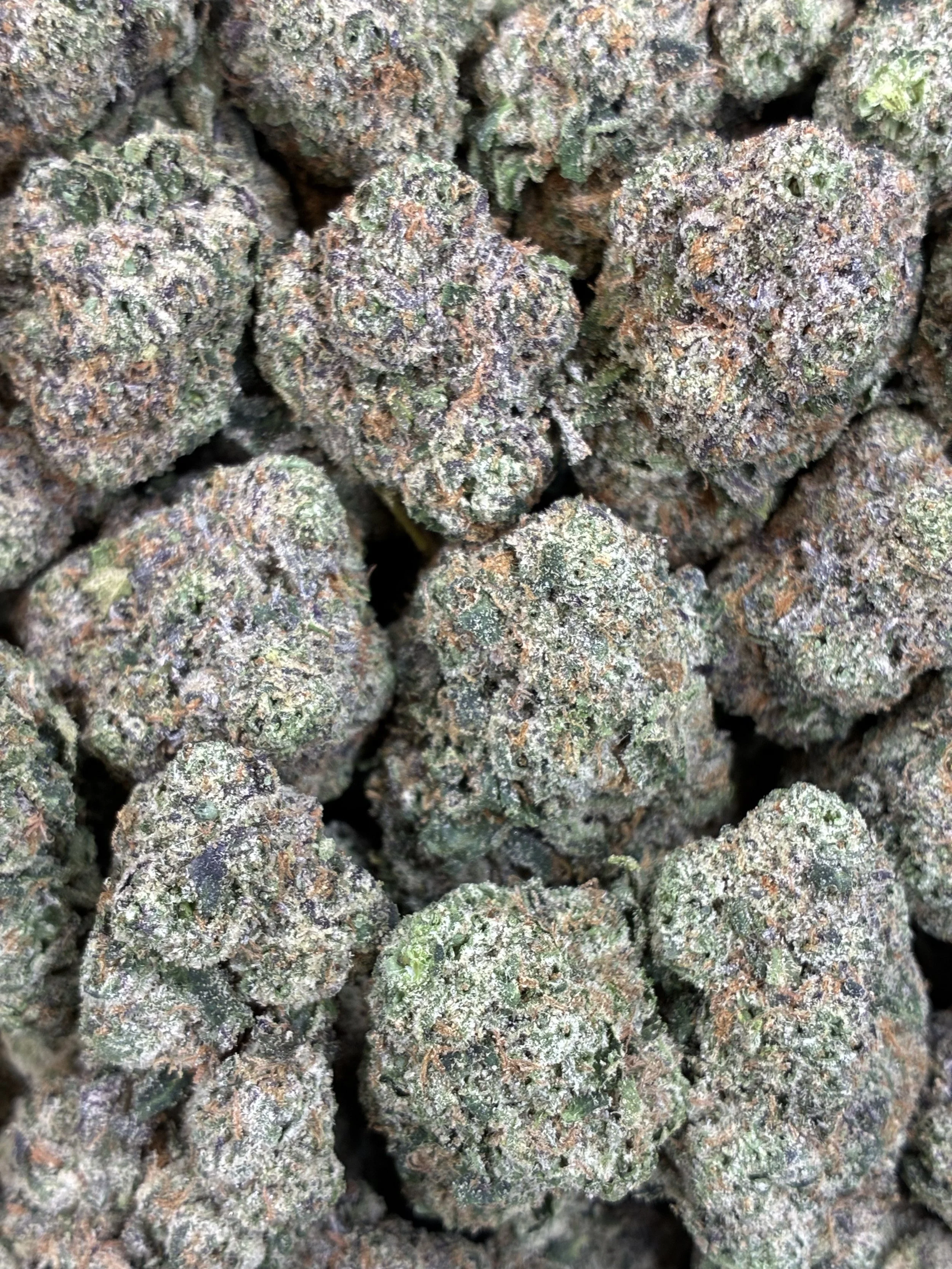 LEMON CHERRY ZORBET