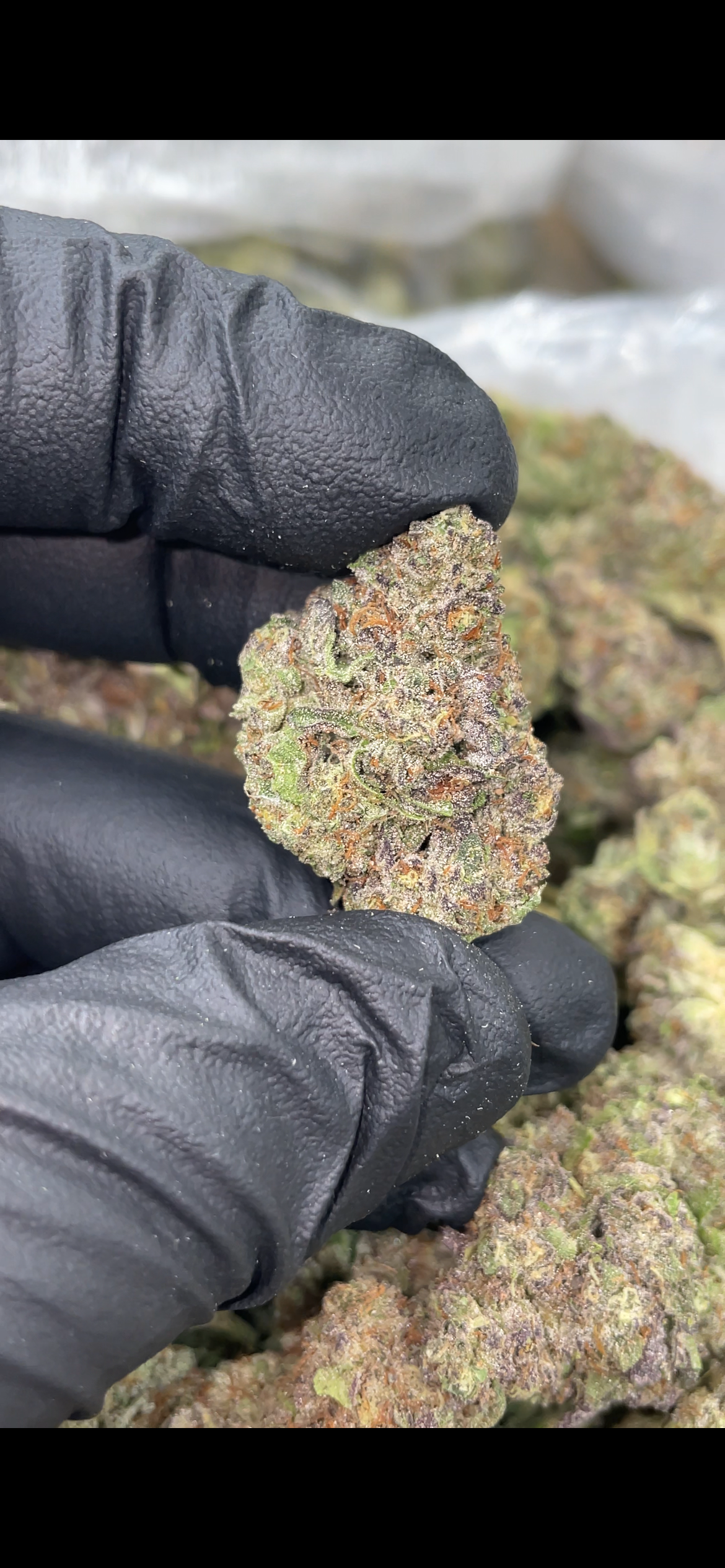 Purple Runts