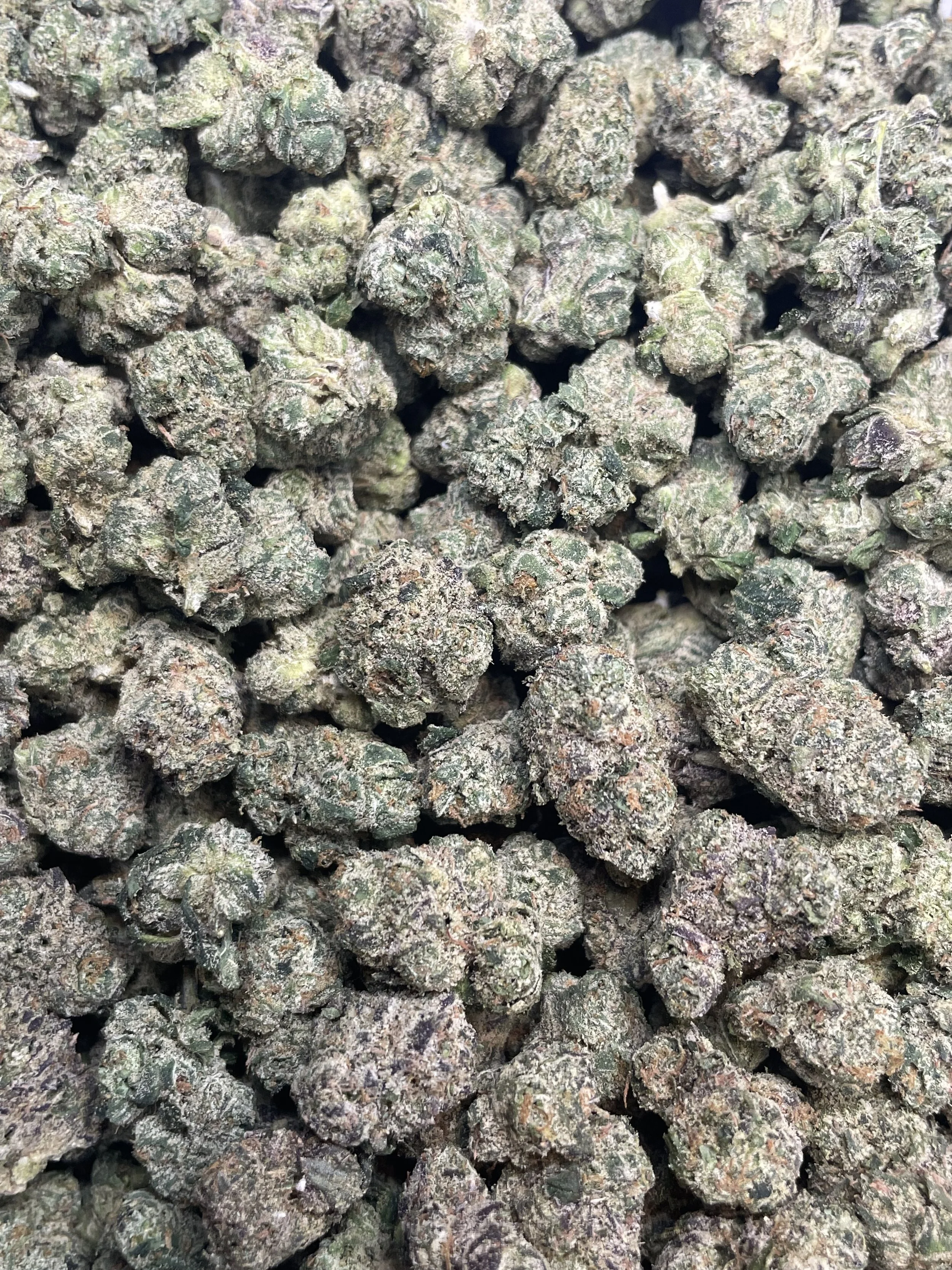 SKITTLES MD