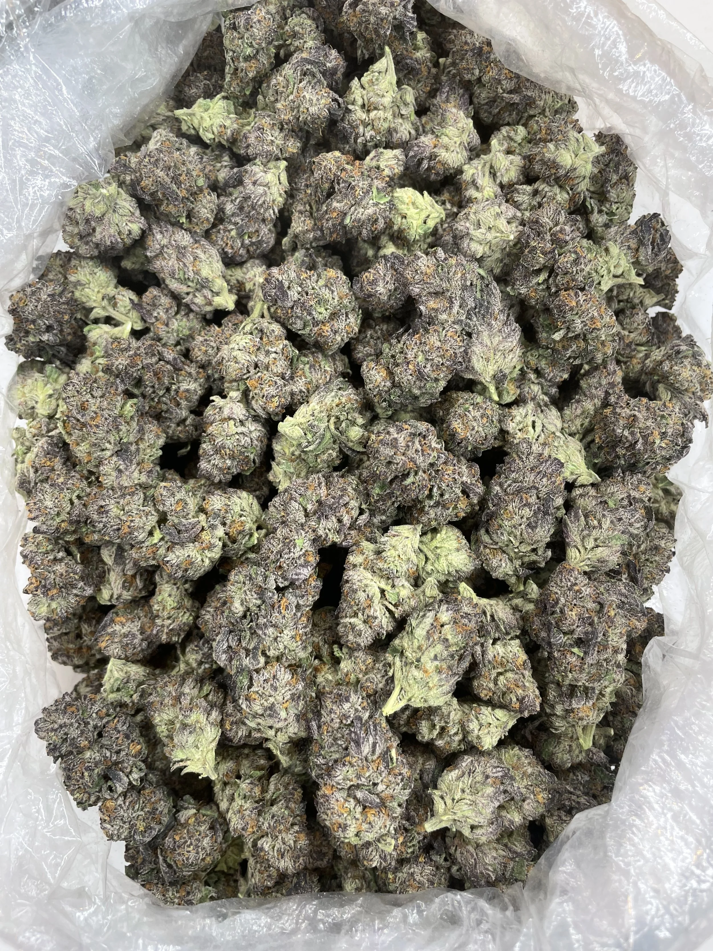 Purple runts 675-2.jpg (Copy)