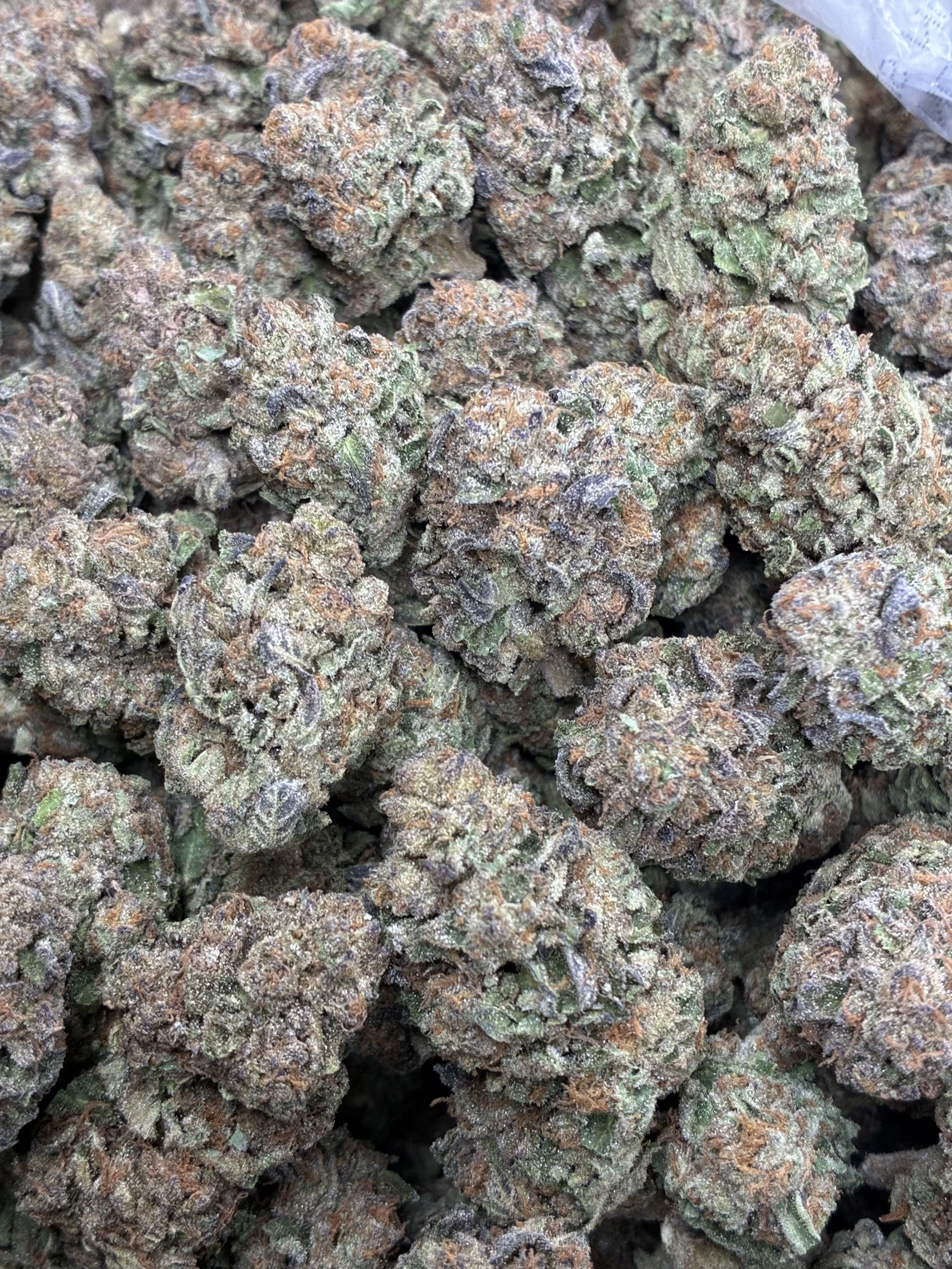 GIRL SCOUT COOKIES