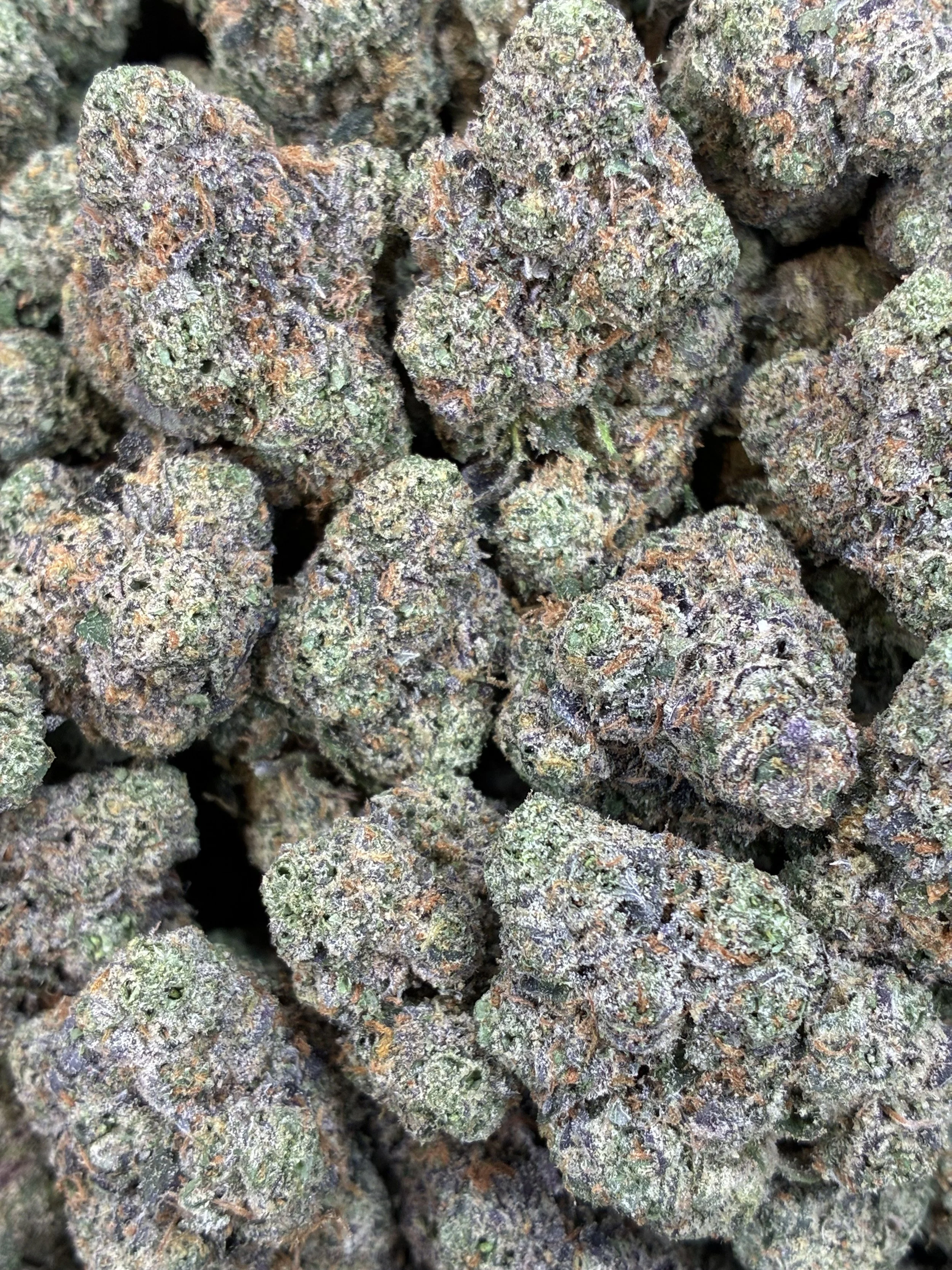 YOSHI ZOURS