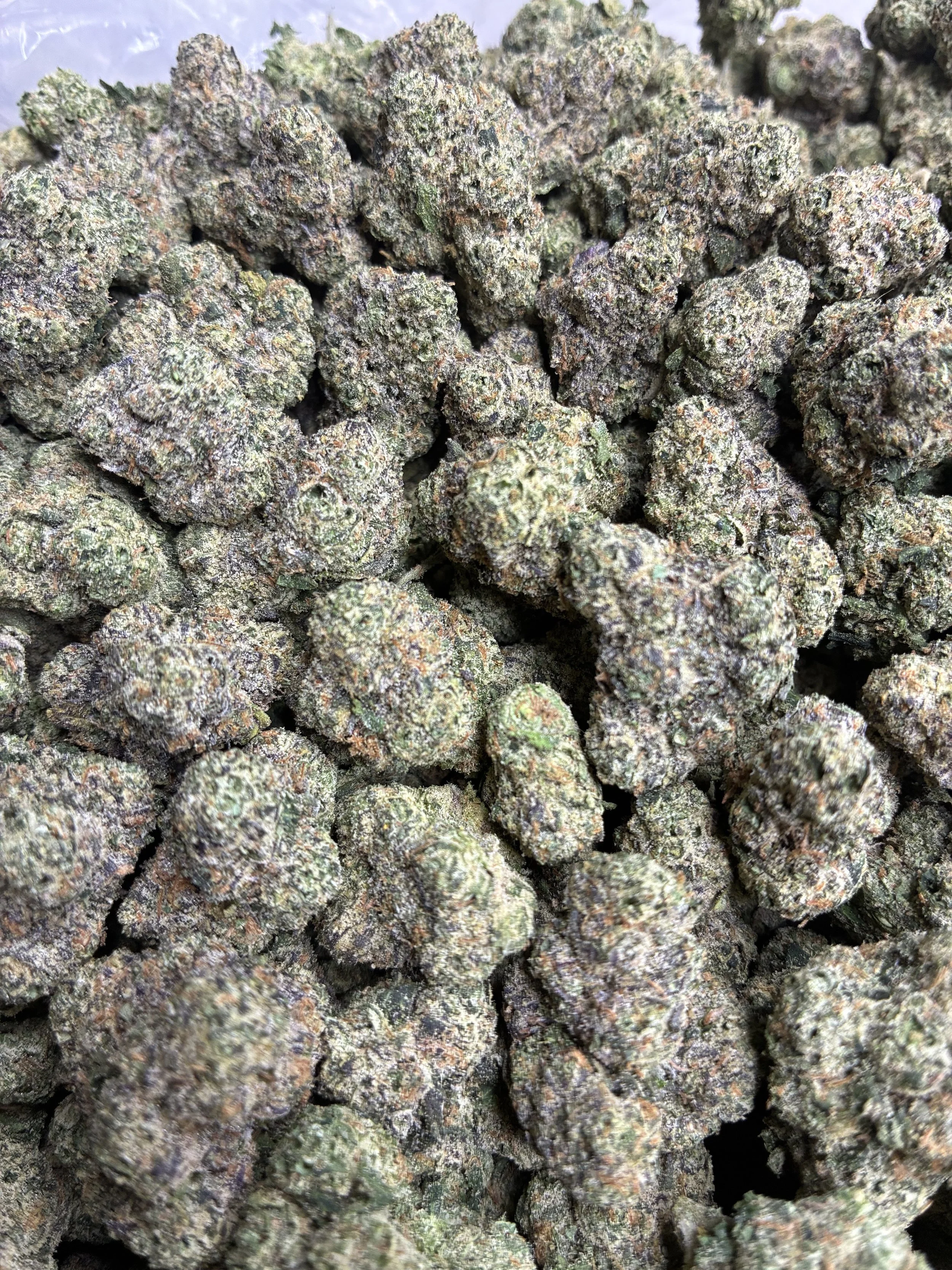 CHERRY MAMBA