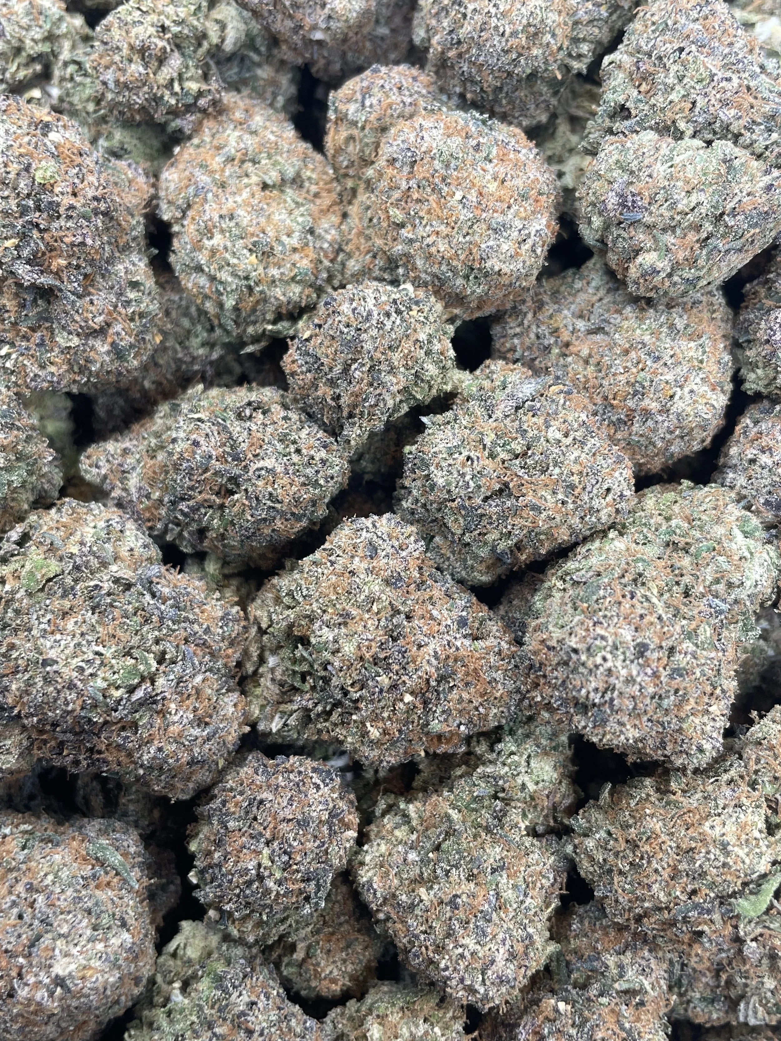 LCG #1