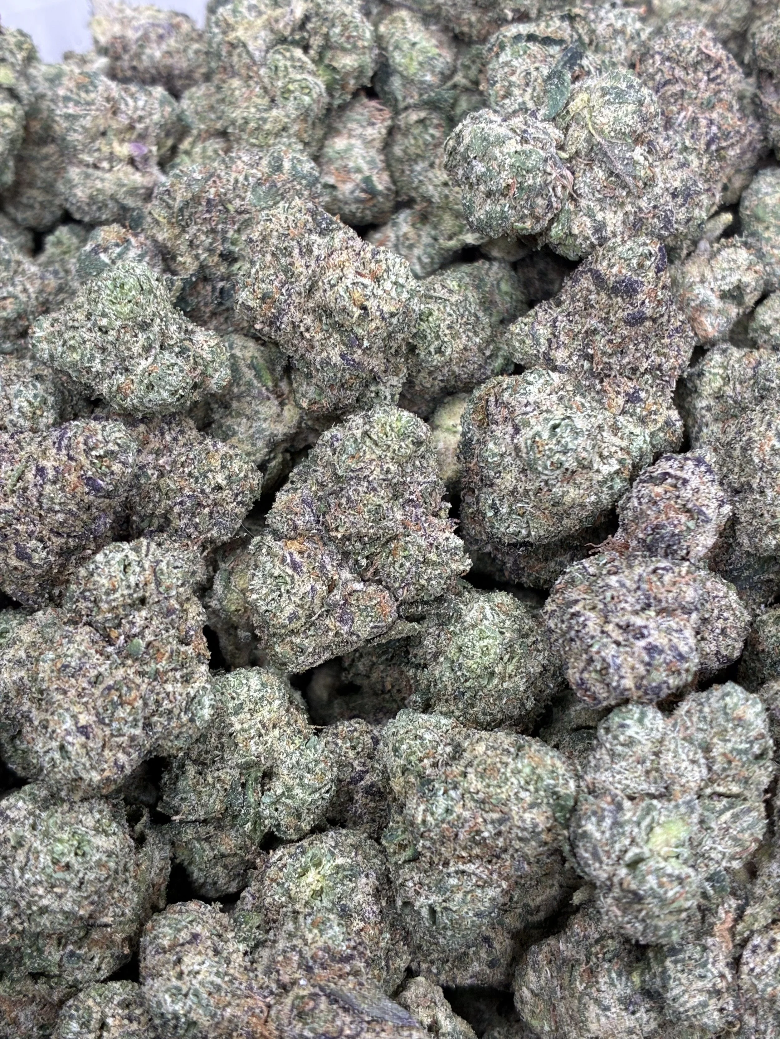TOOTSIE POPZ