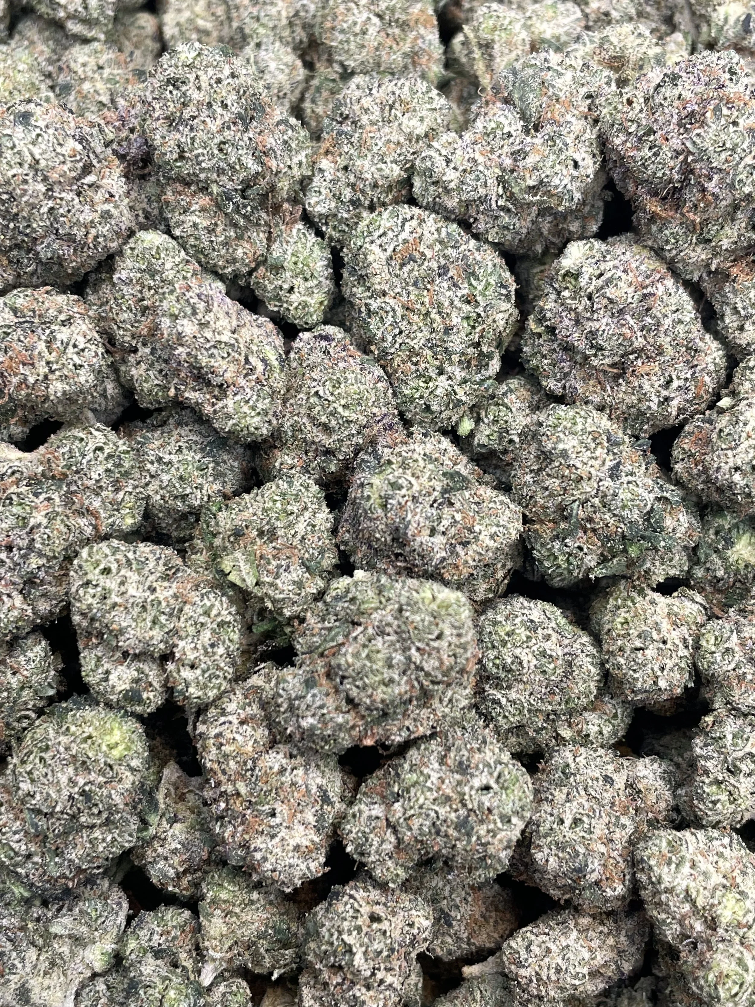 BLUEBERRY ZUGAR