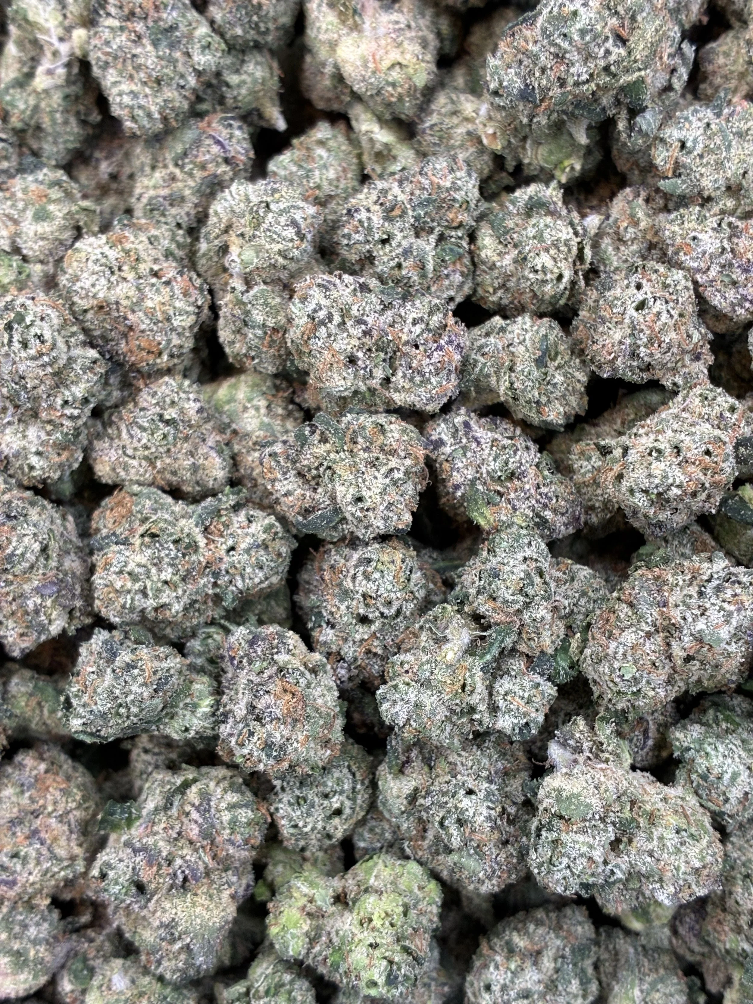 BLOWPOPS MD