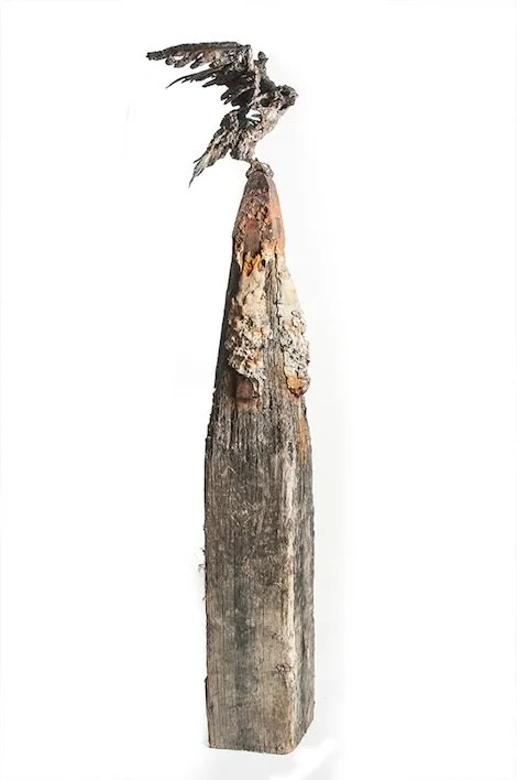 Hawk