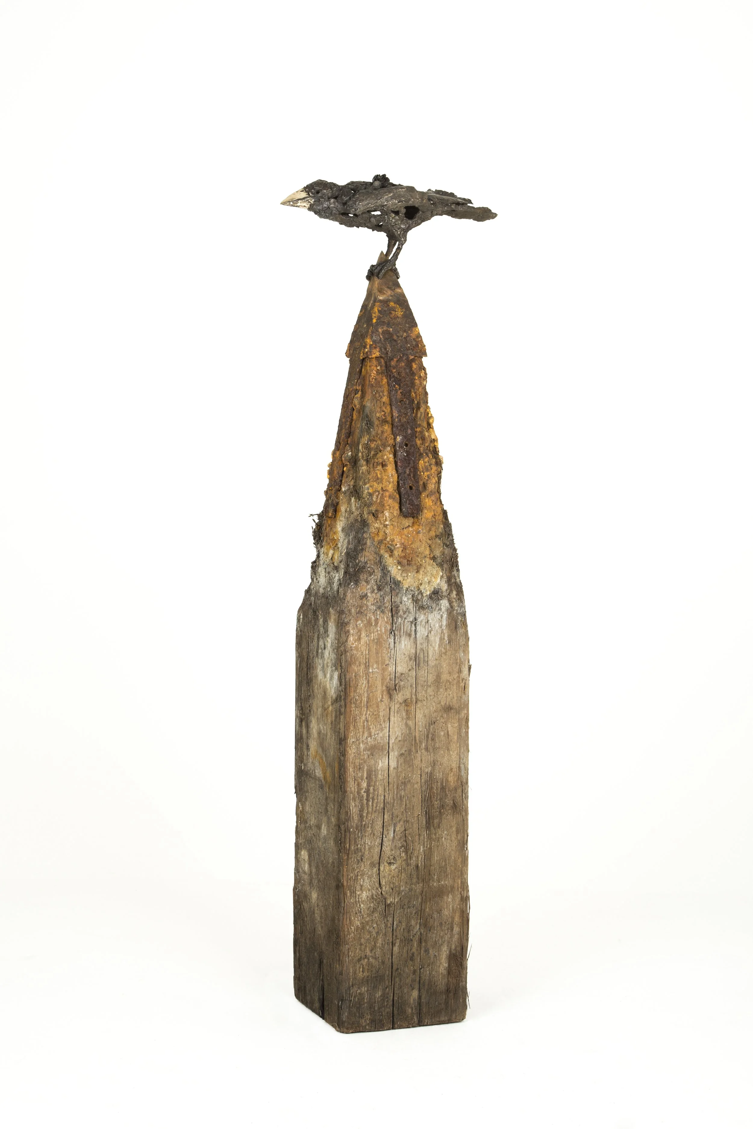 Corvid Landing