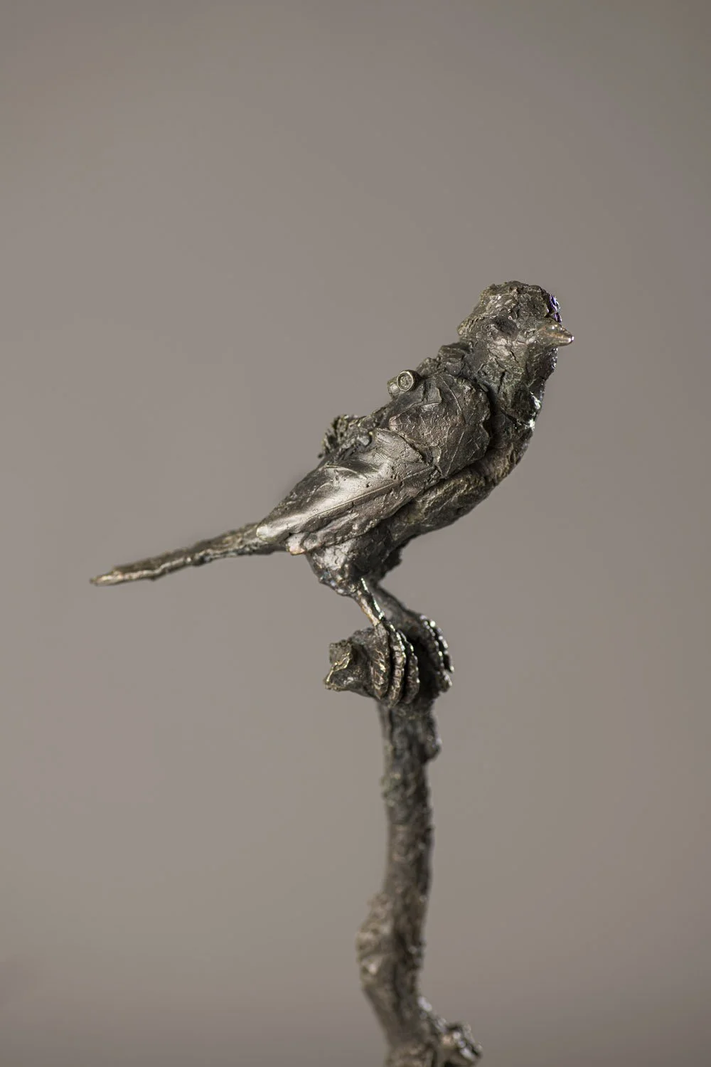Lil Perched Bird