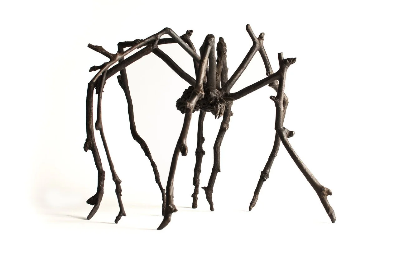 Twig Spider