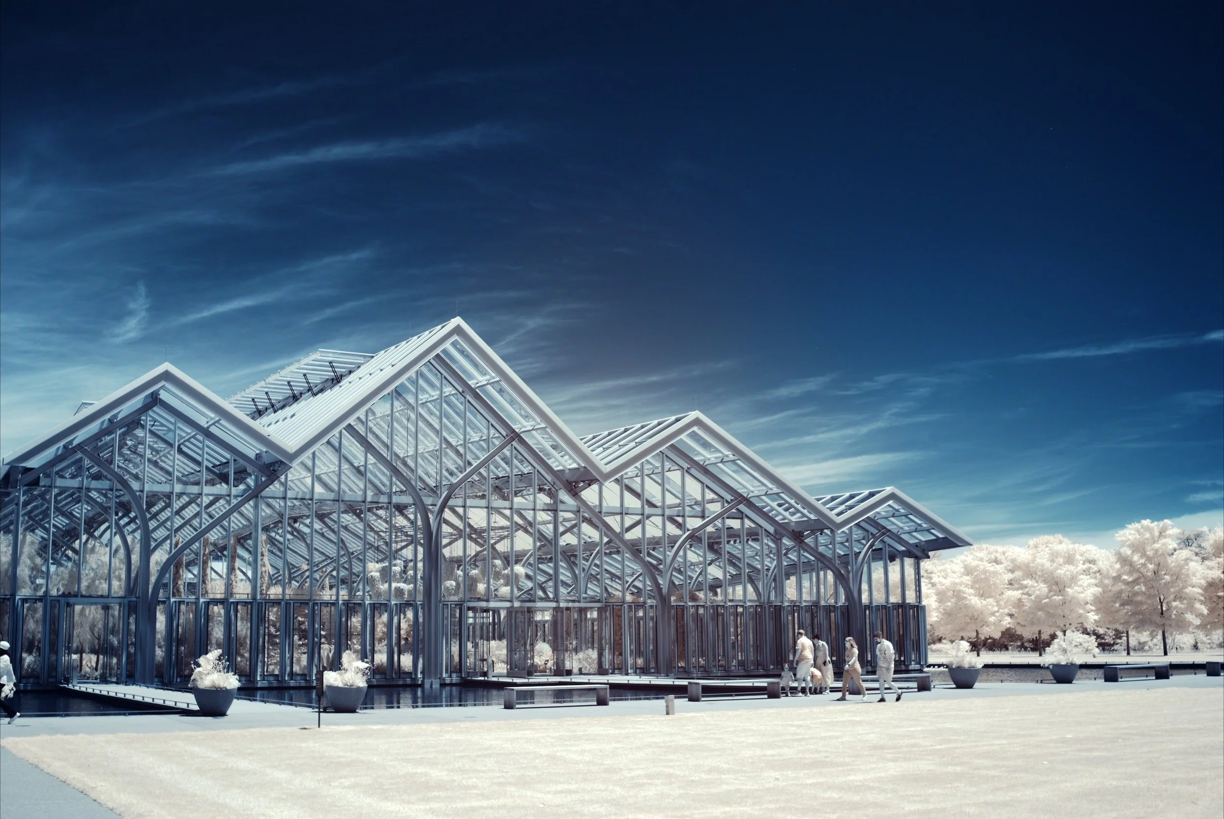 An image of a greenhouse surrounded by a shallow pool. Stark white foliage is contrasted against a blue sky as a result of the infrared camera. 