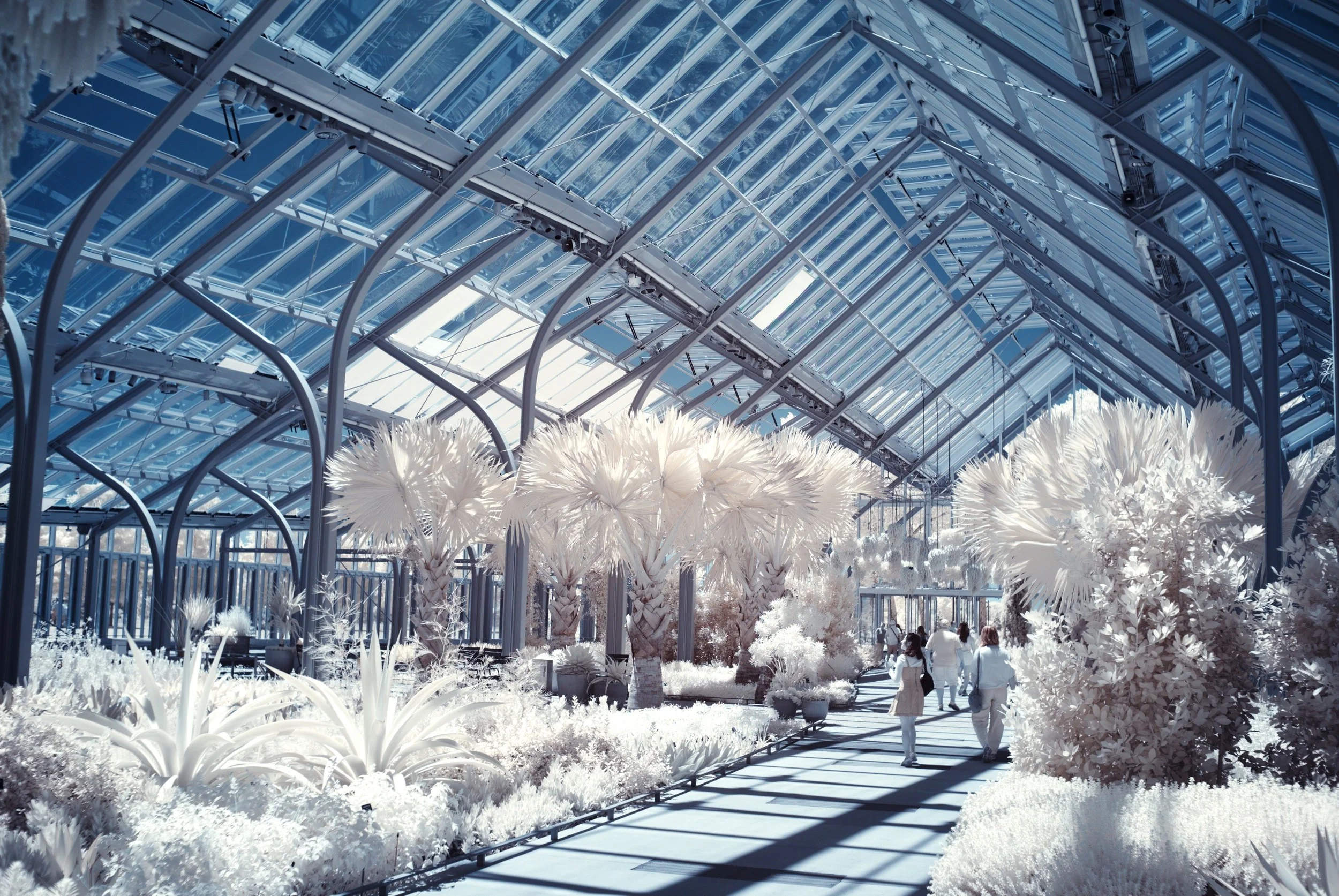 Infrared Gardens