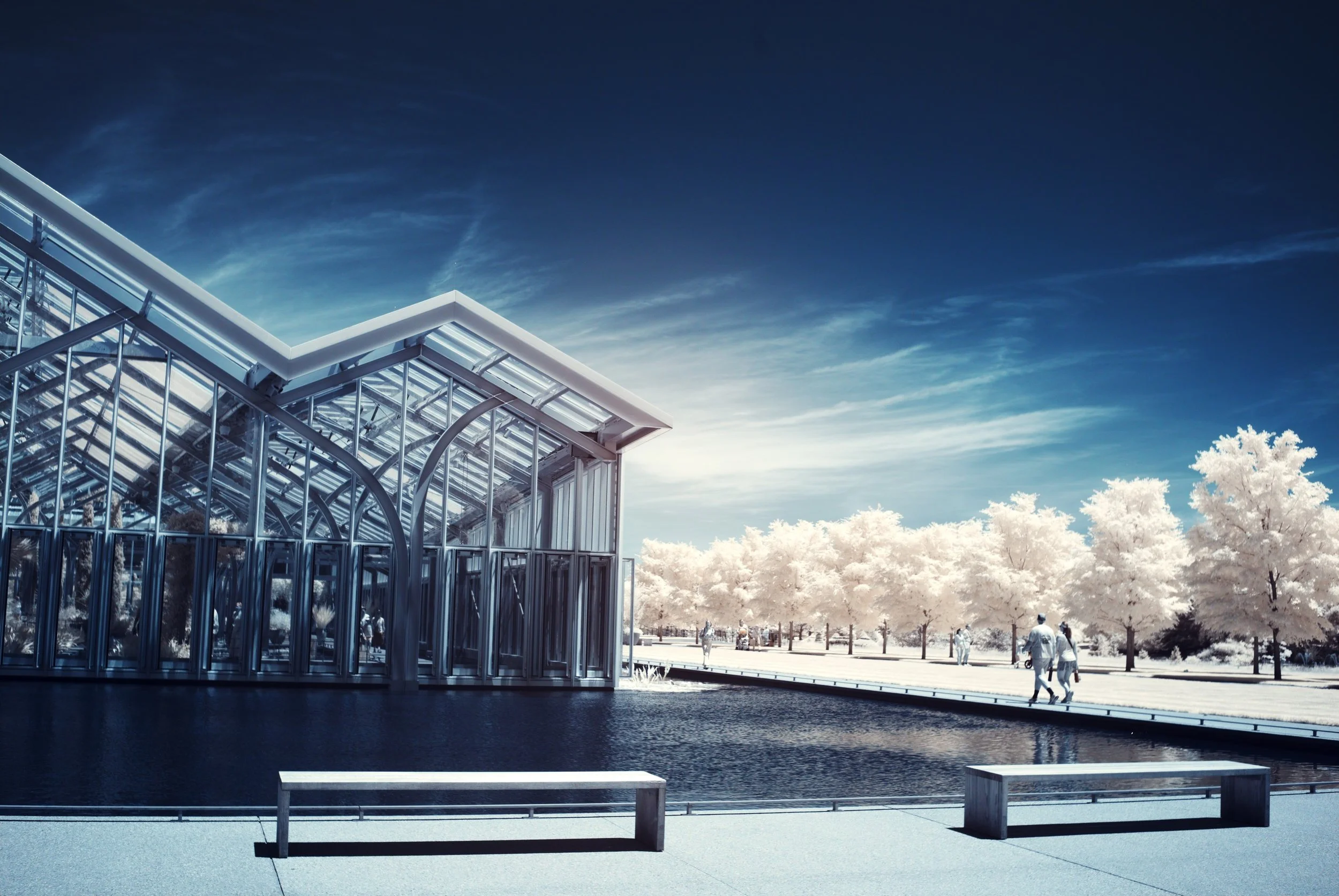 An image of a greenhouse with a couple walking along a shallow pool. Stark white foliage is contrasted against a blue sky as a result of the infrared camera. 