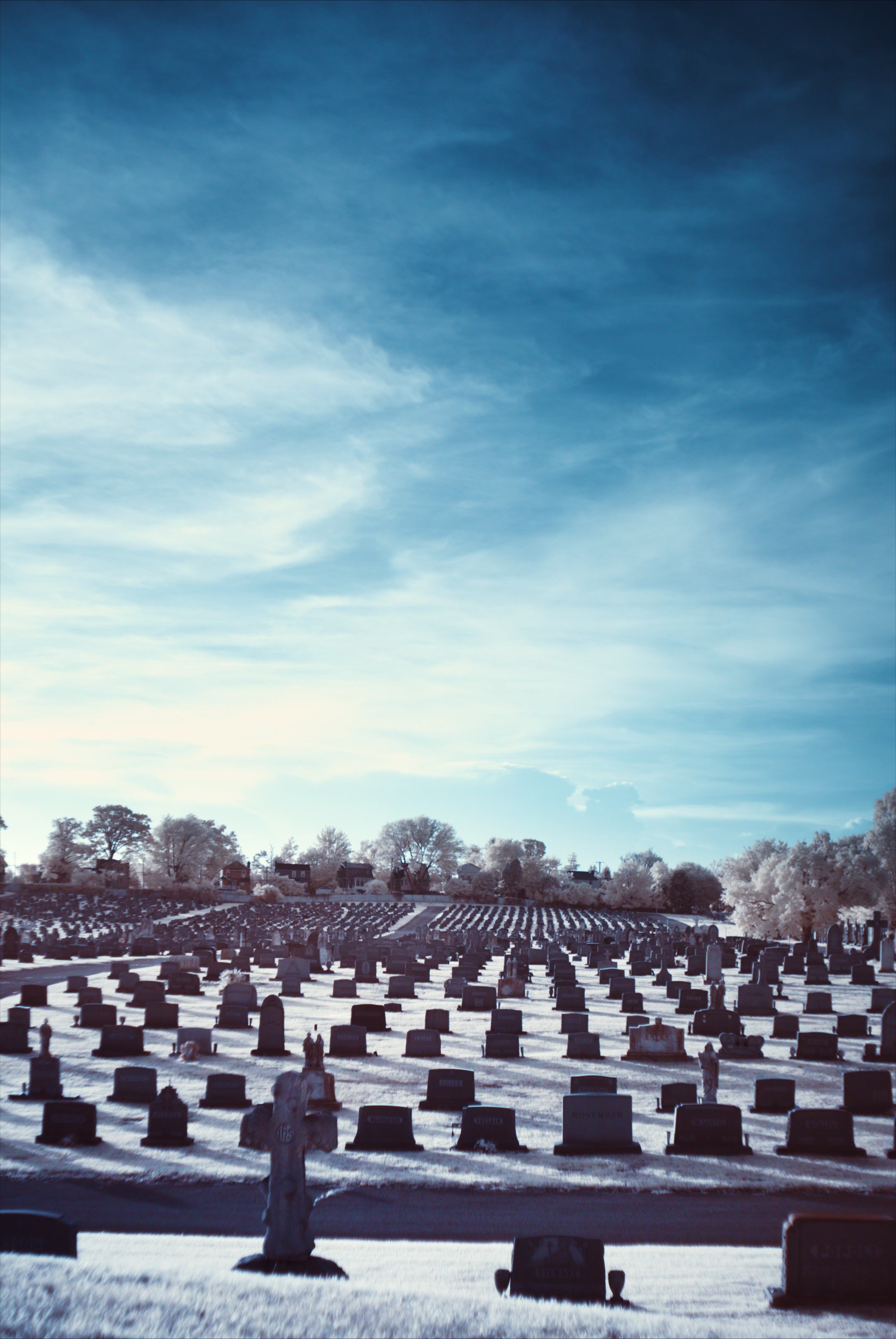 An infrared image of cemetery with white grass and blue sky
