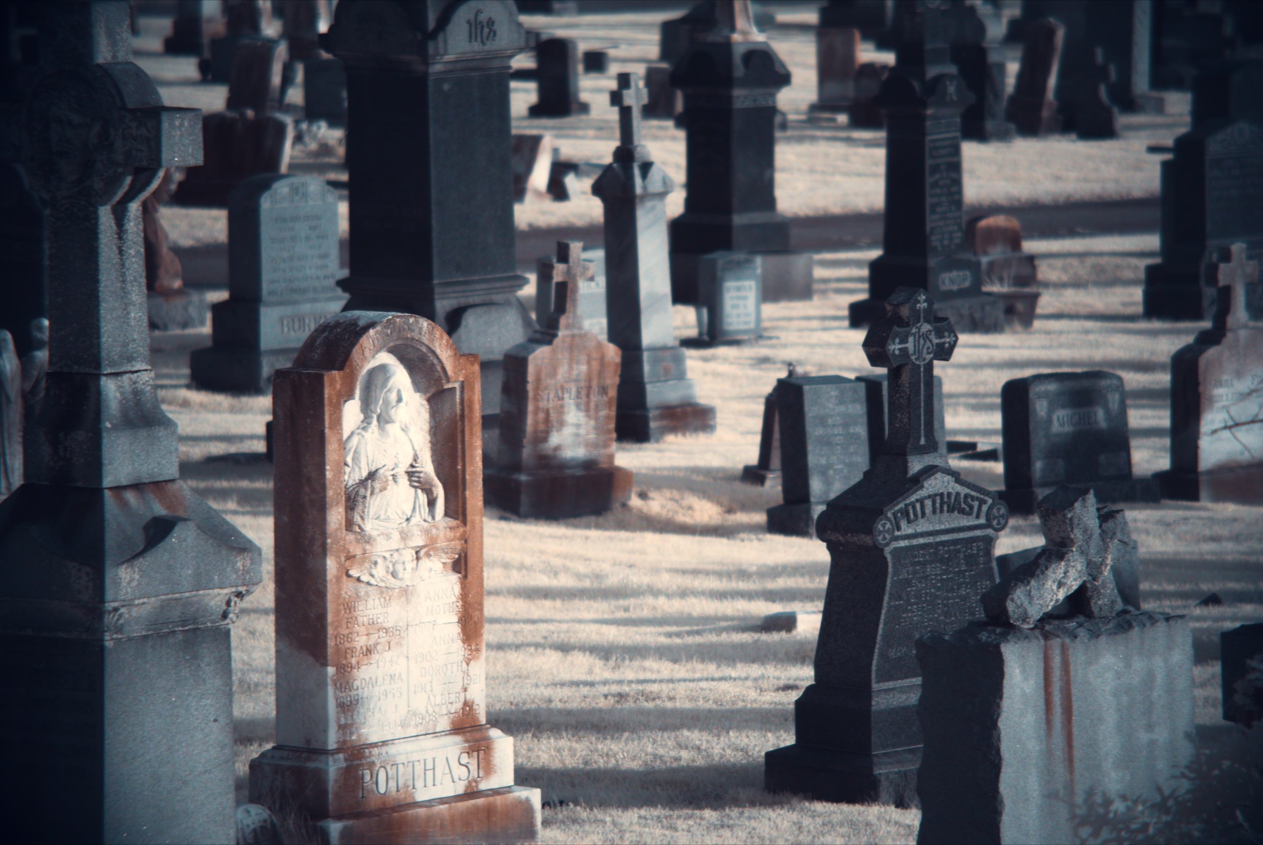 An infrared image of a red gravestone surrounded by more muted, blue gravestones and white grass