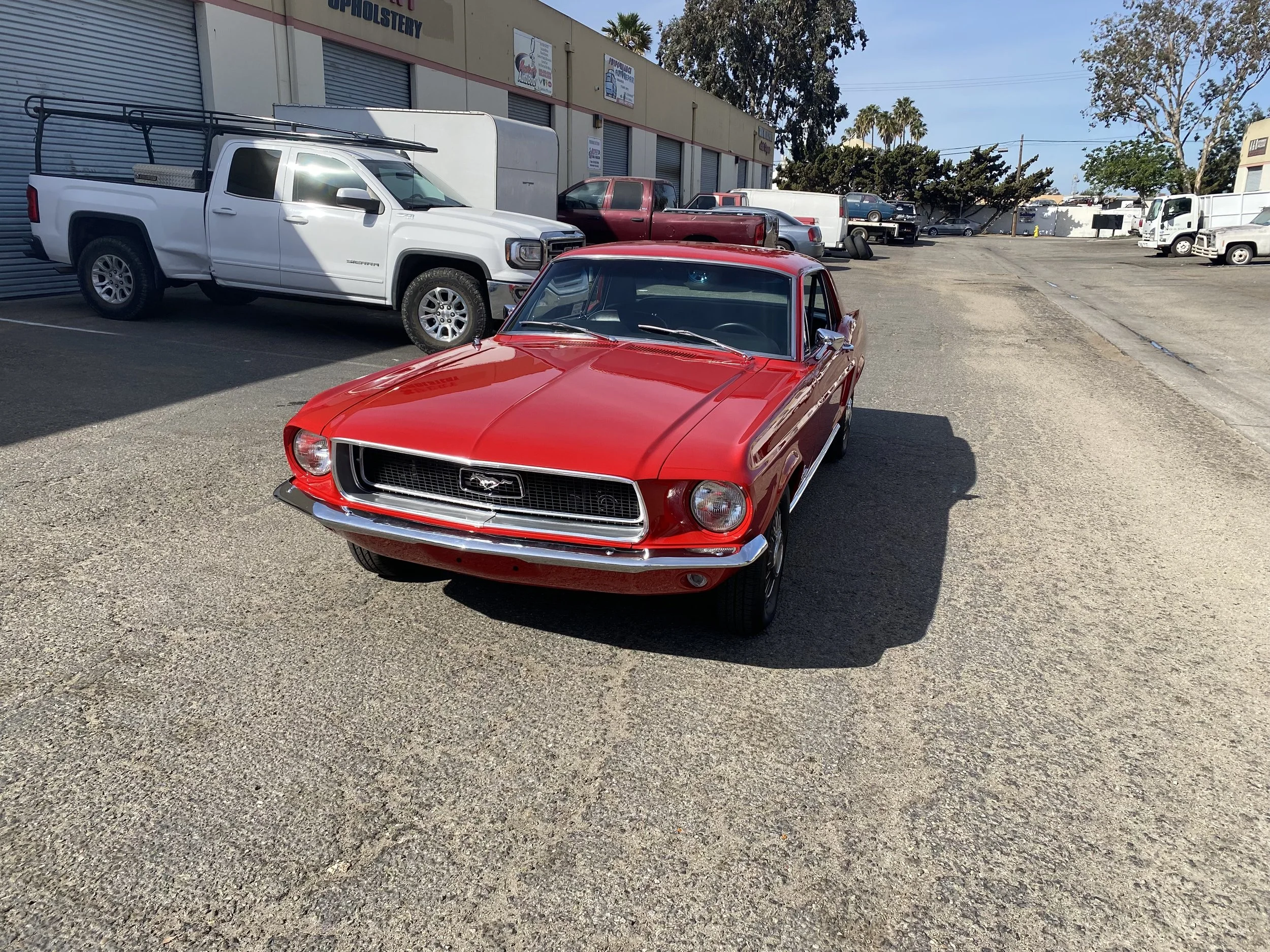 IMG_2131.jpeg