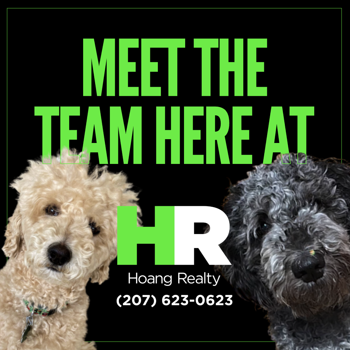 A promotional flyer for Hoang Realty featuring two cute dogs, one light-colored and one dark-colored, and bright green and white text on a black background.