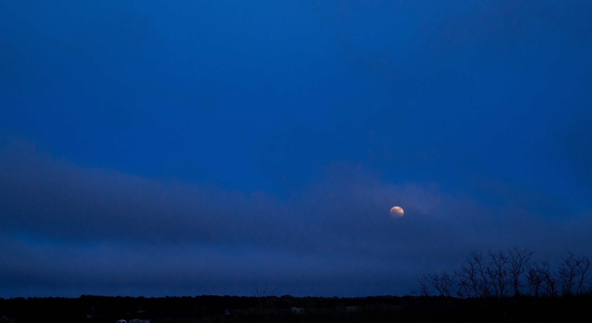 smaller photo moon.jpeg