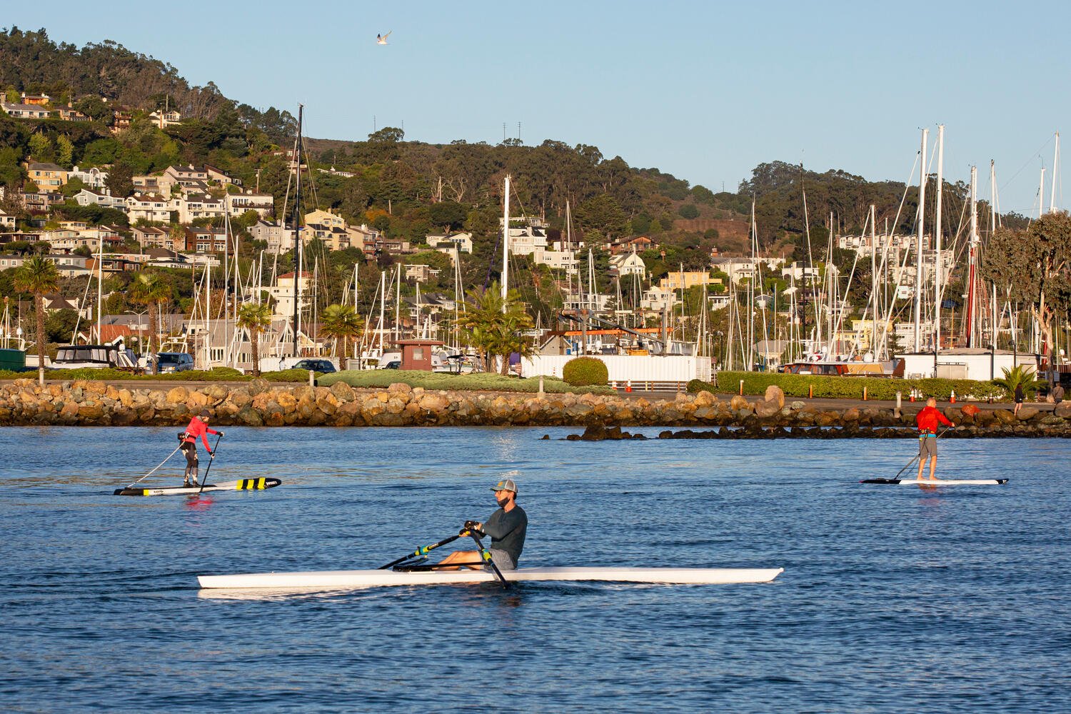 32 Crescent Ave Sausalito CA-large-043-055-S3A9257-1500x1000-72dpi.jpg
