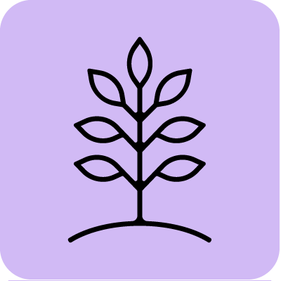 Black line drawing of a plant with multiple leaves on a purple background.